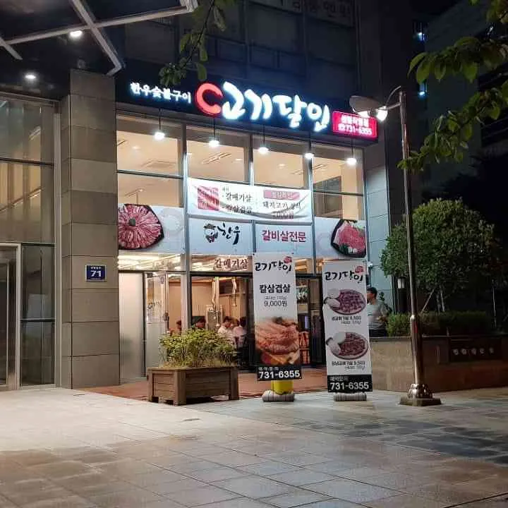 대표 사진 1