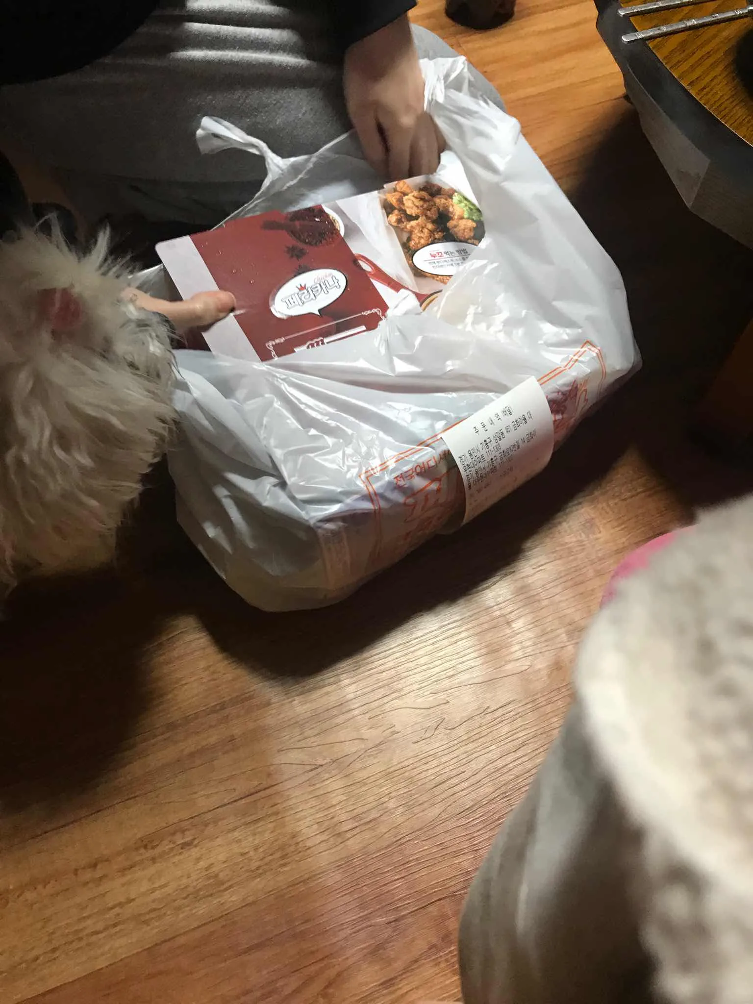 대표 사진 1