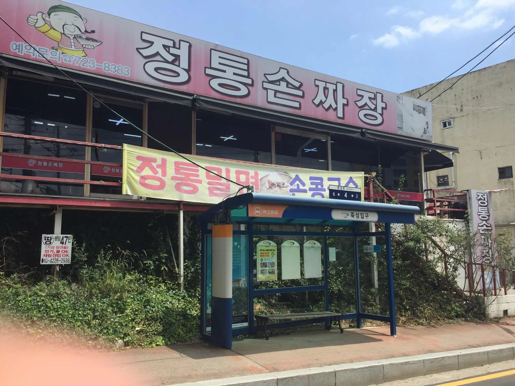 대표 사진 2