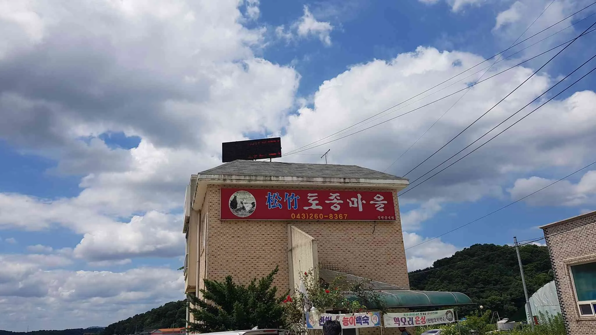 대표 사진 1