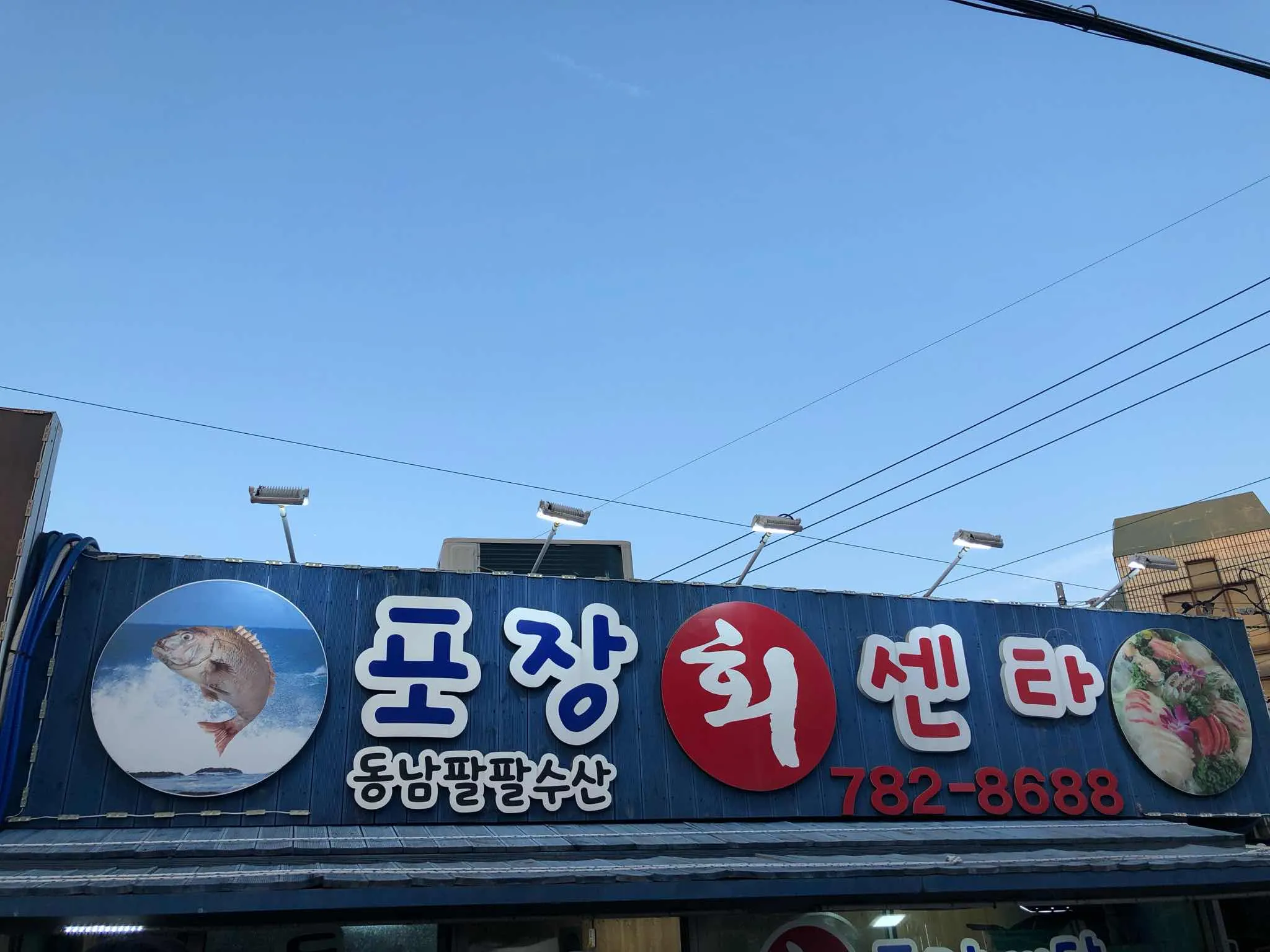 대표 사진 0
