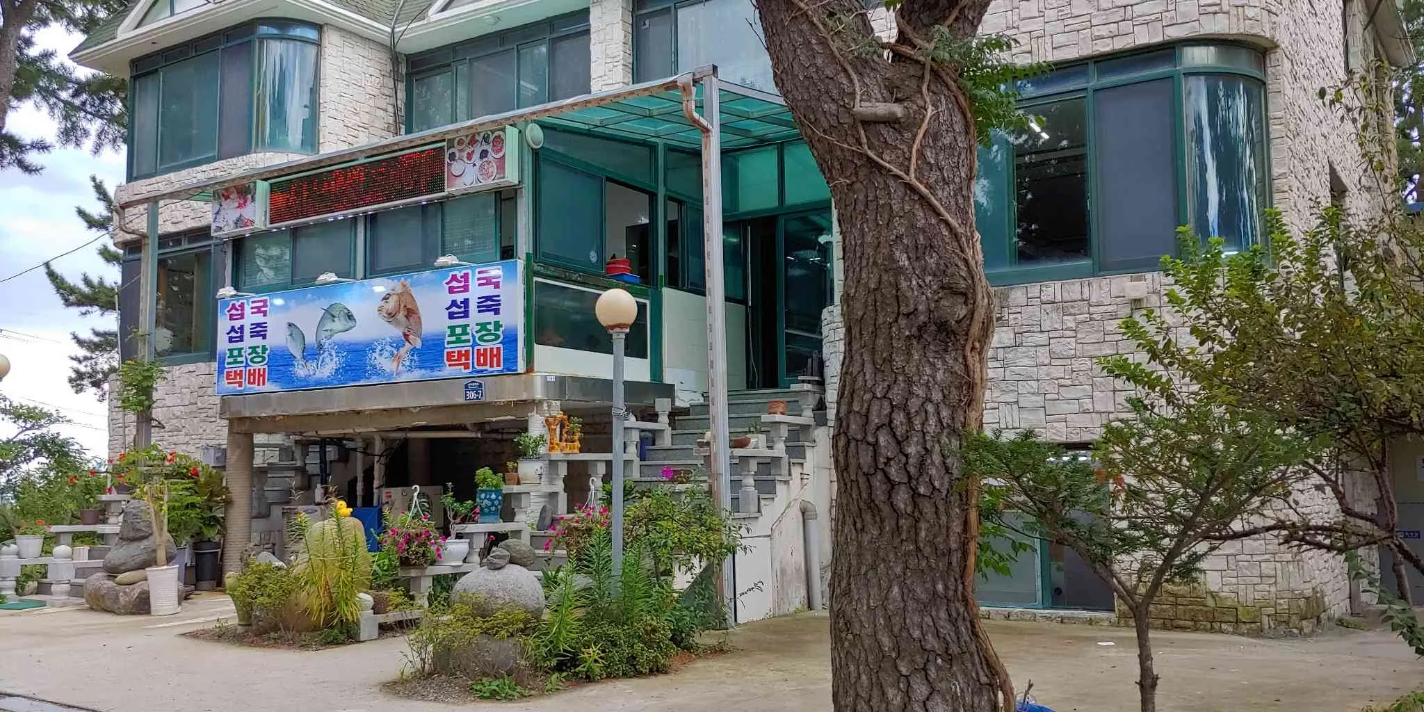 대표 사진 2