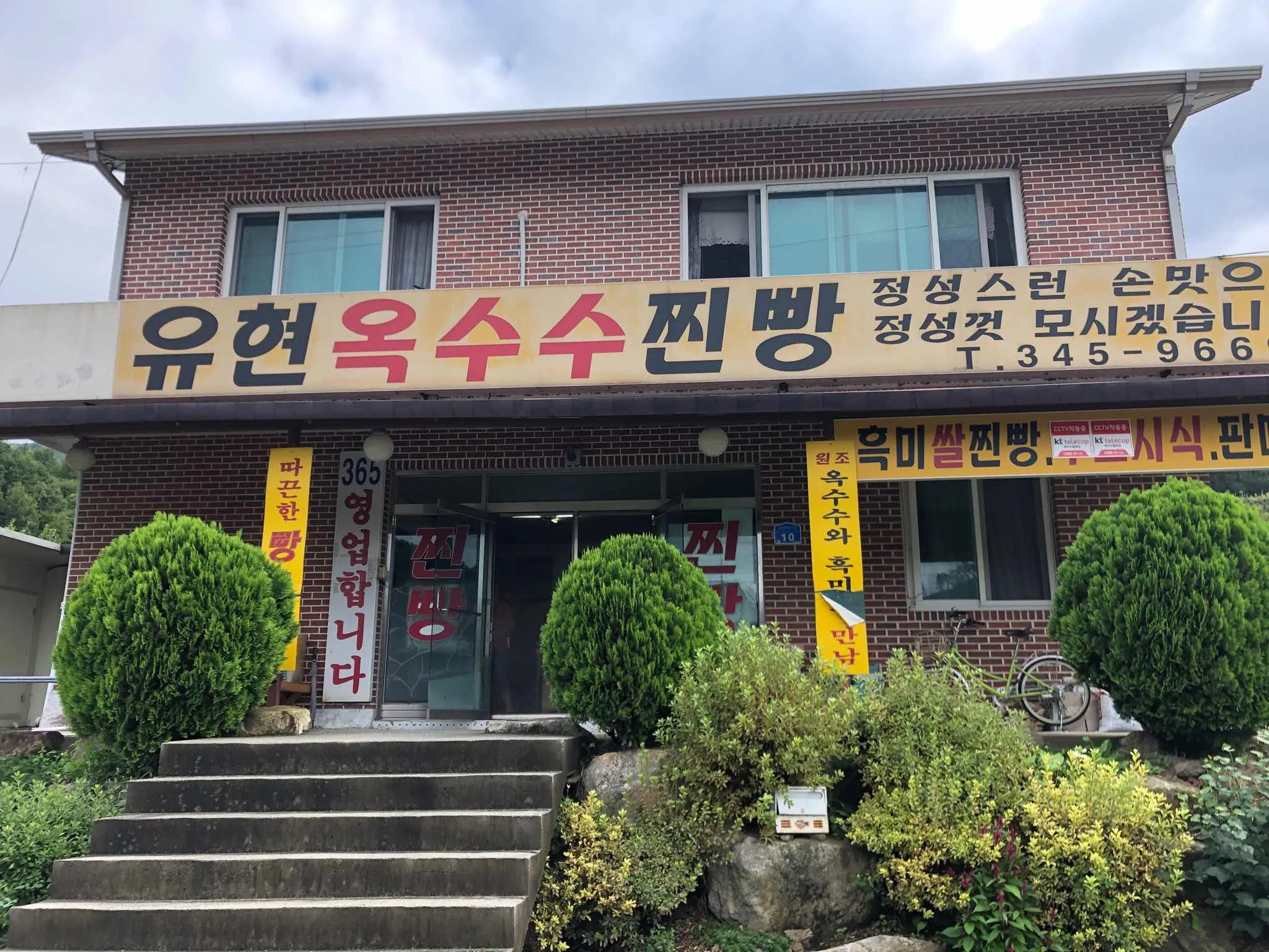 대표 사진 1