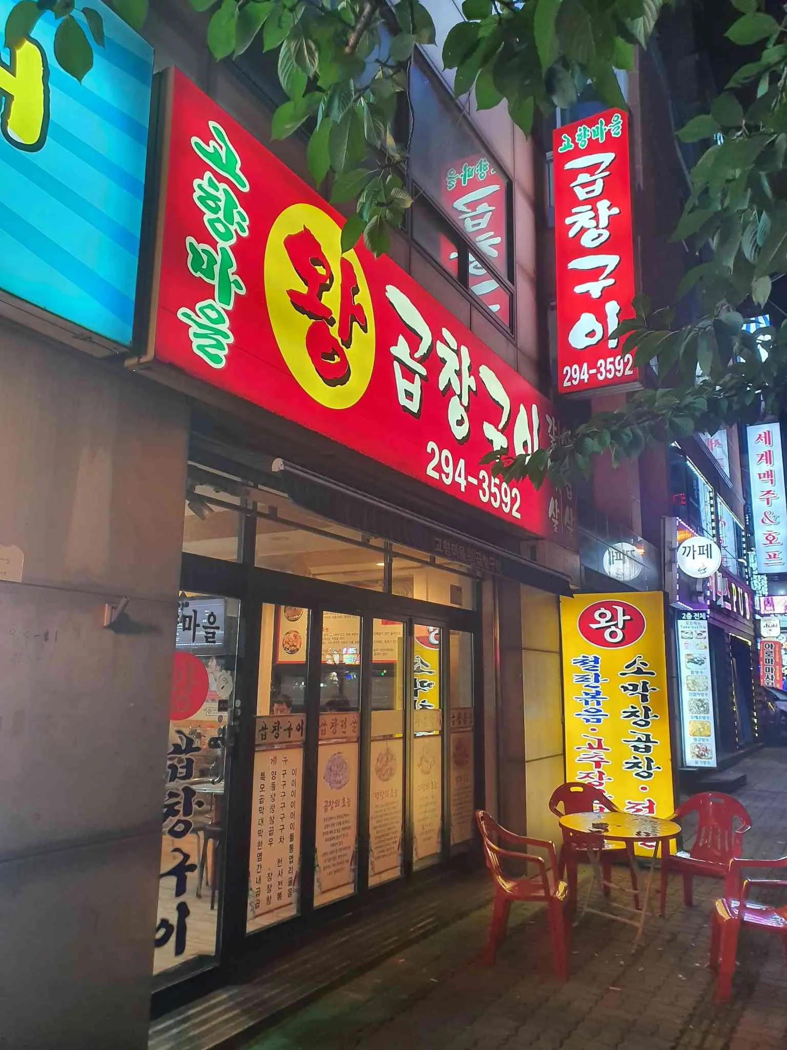 대표 사진 1