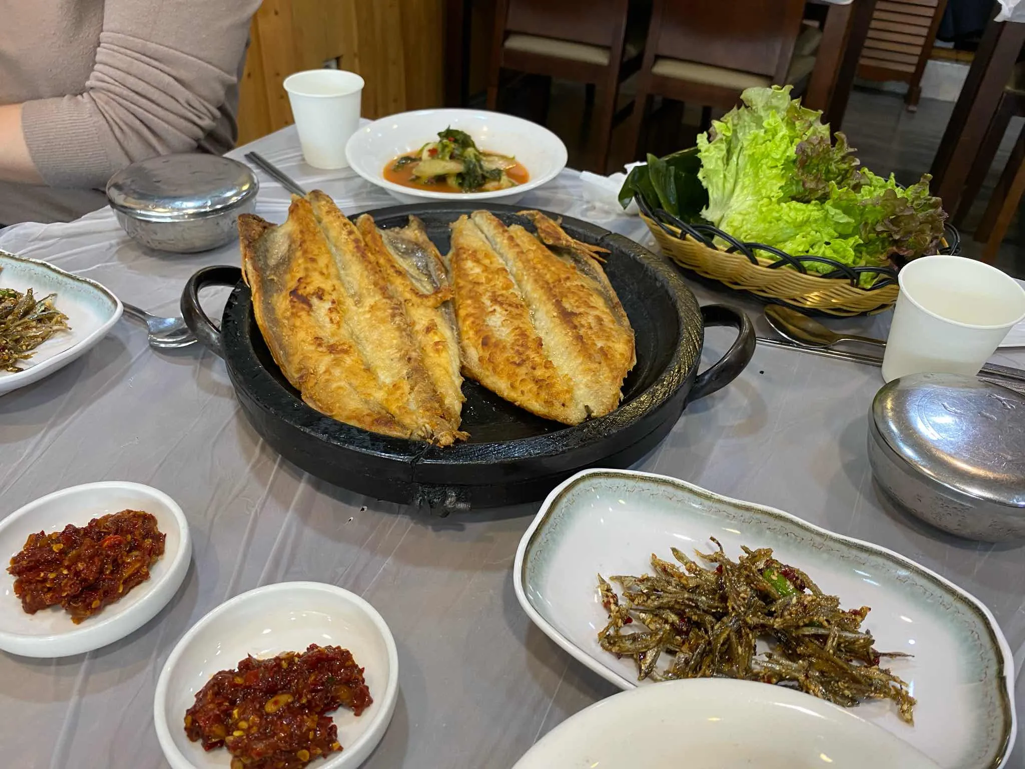 대표 사진 0