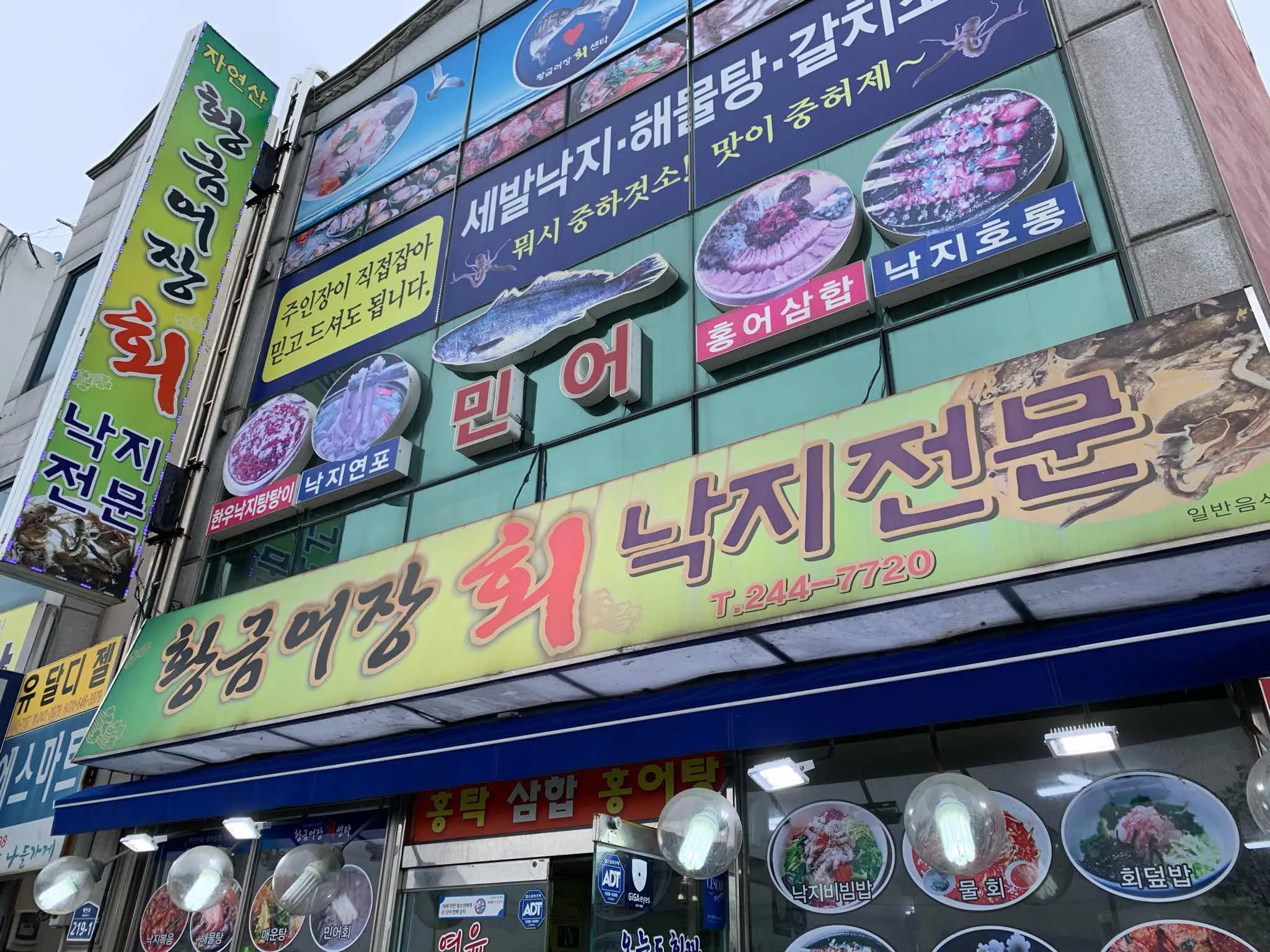 대표 사진 2