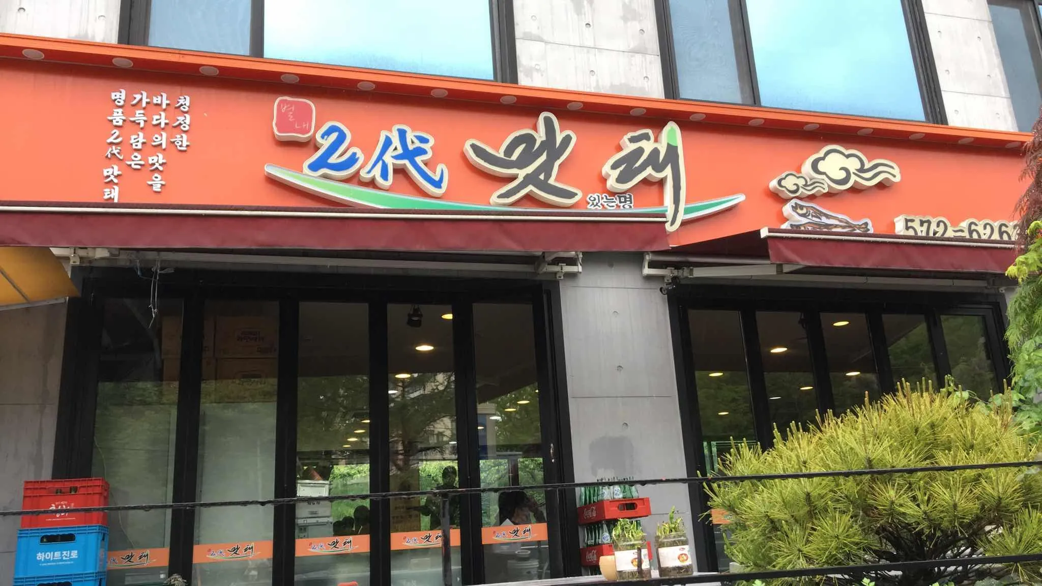 대표 사진 1