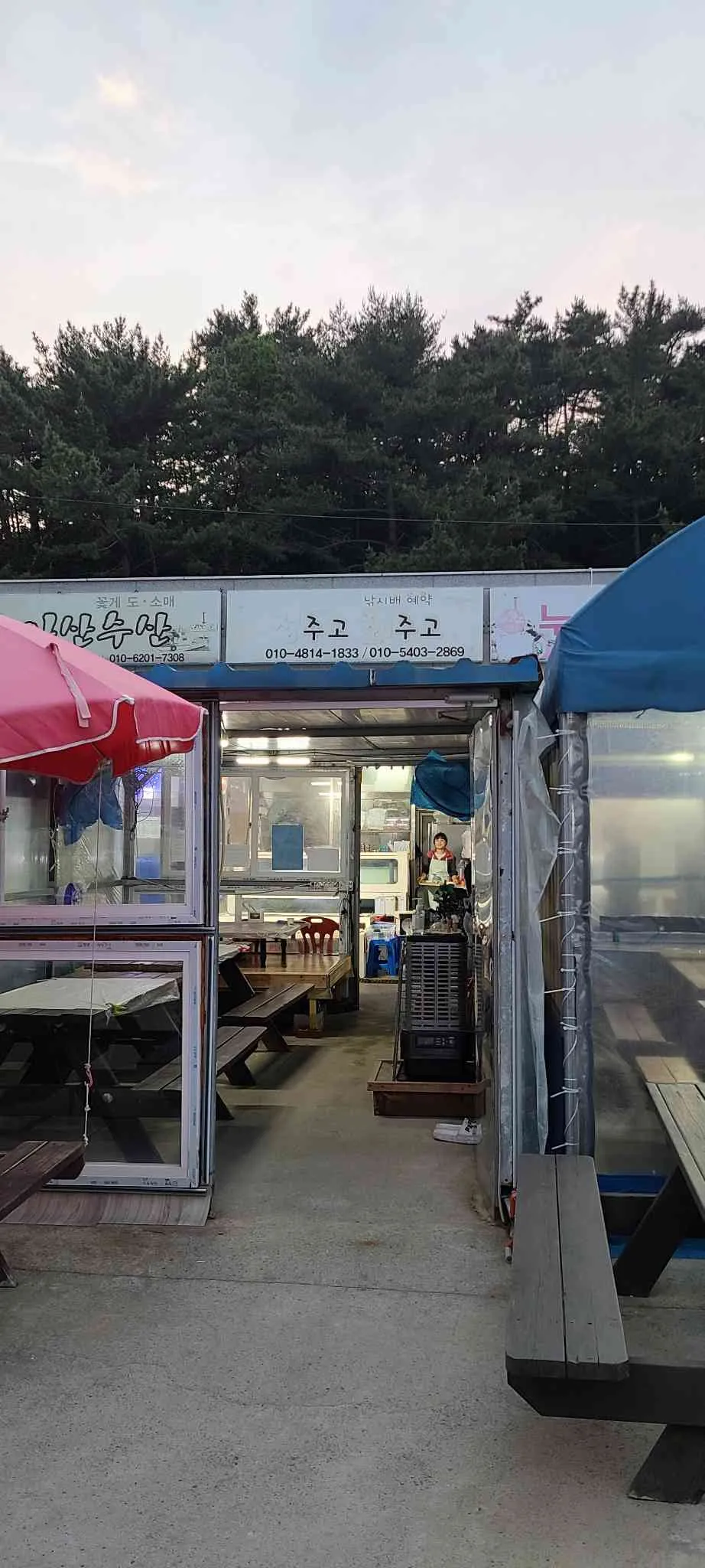 대표 사진 0