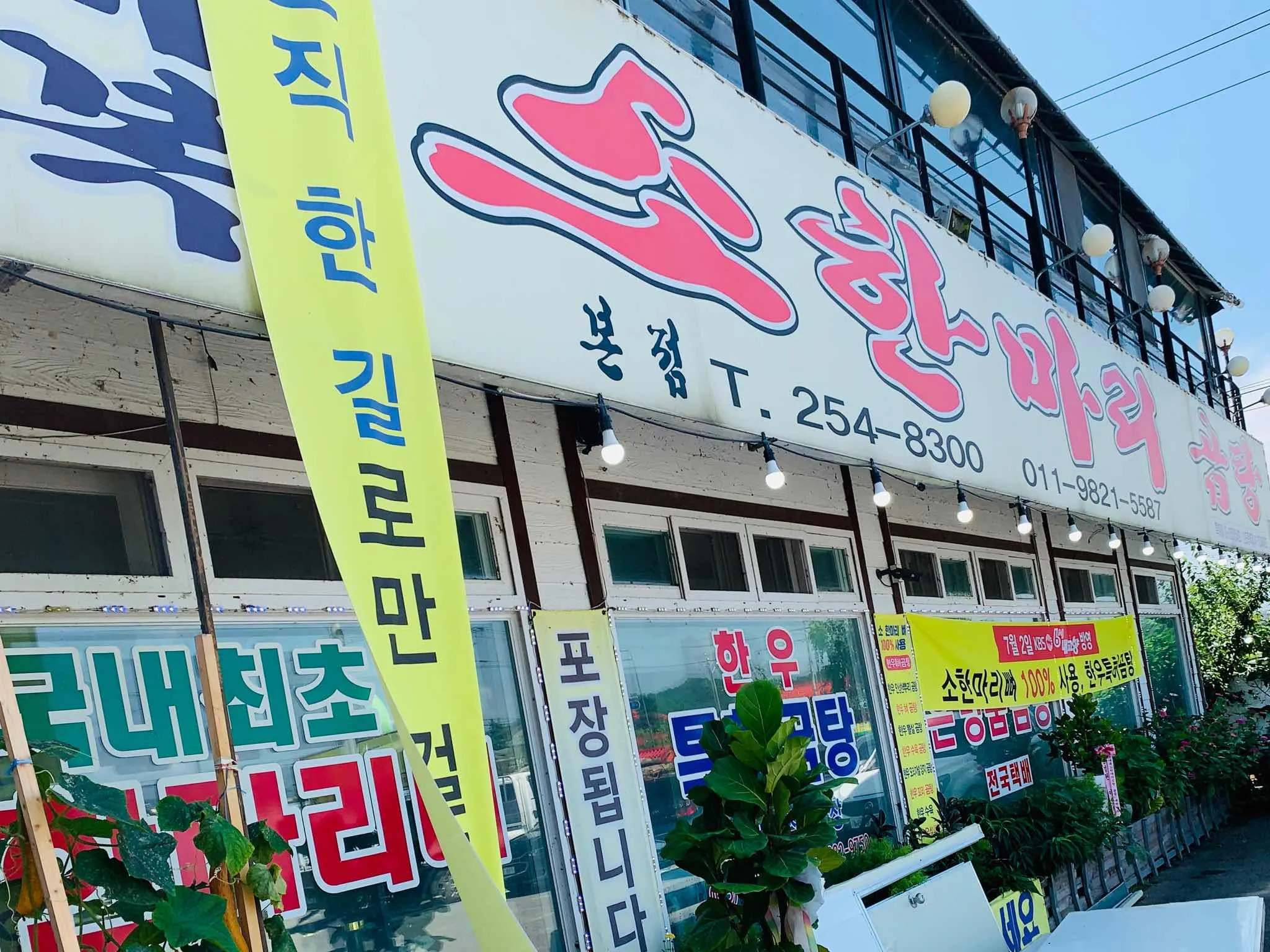 대표 사진 1