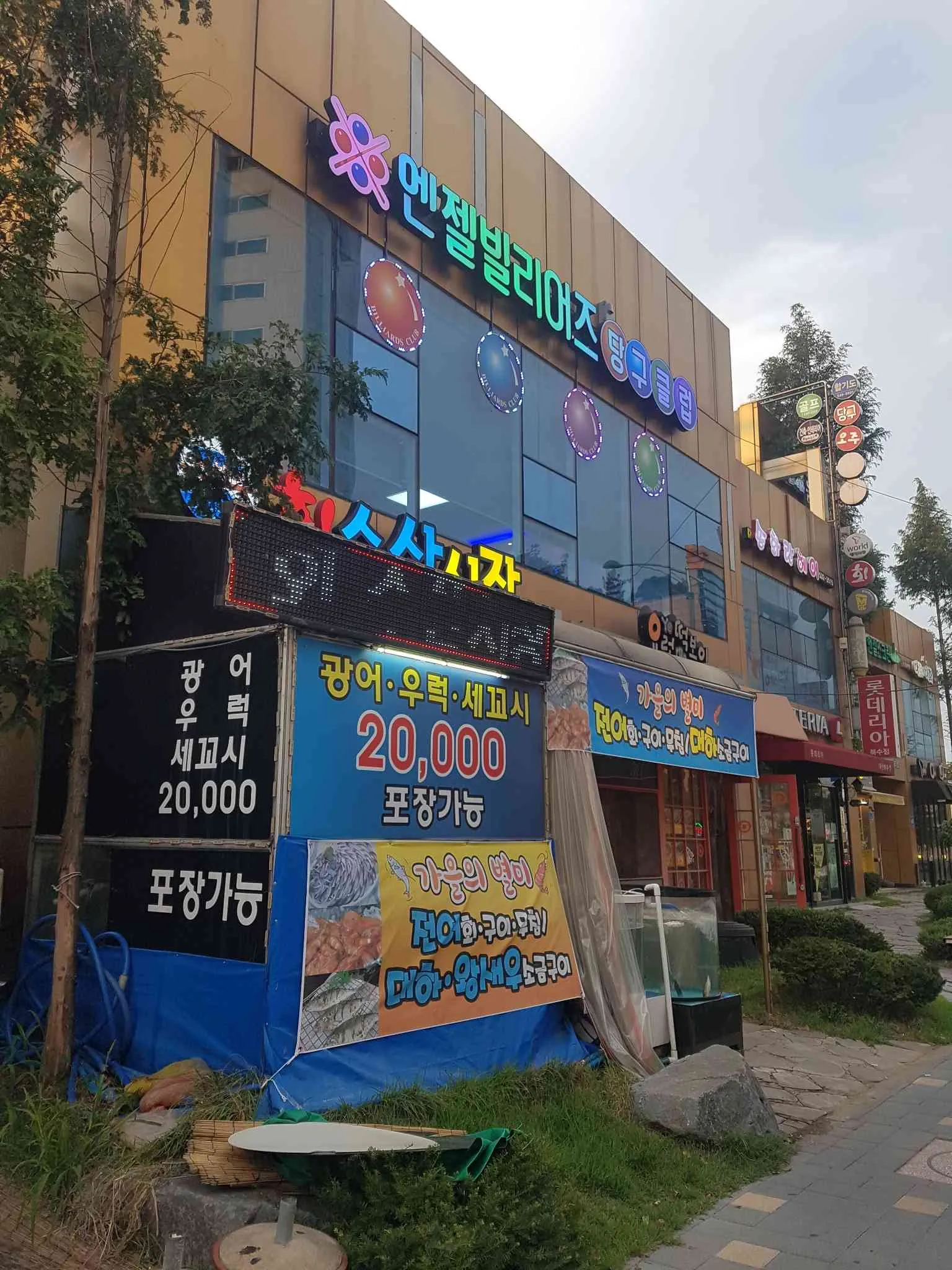 대표 사진 2