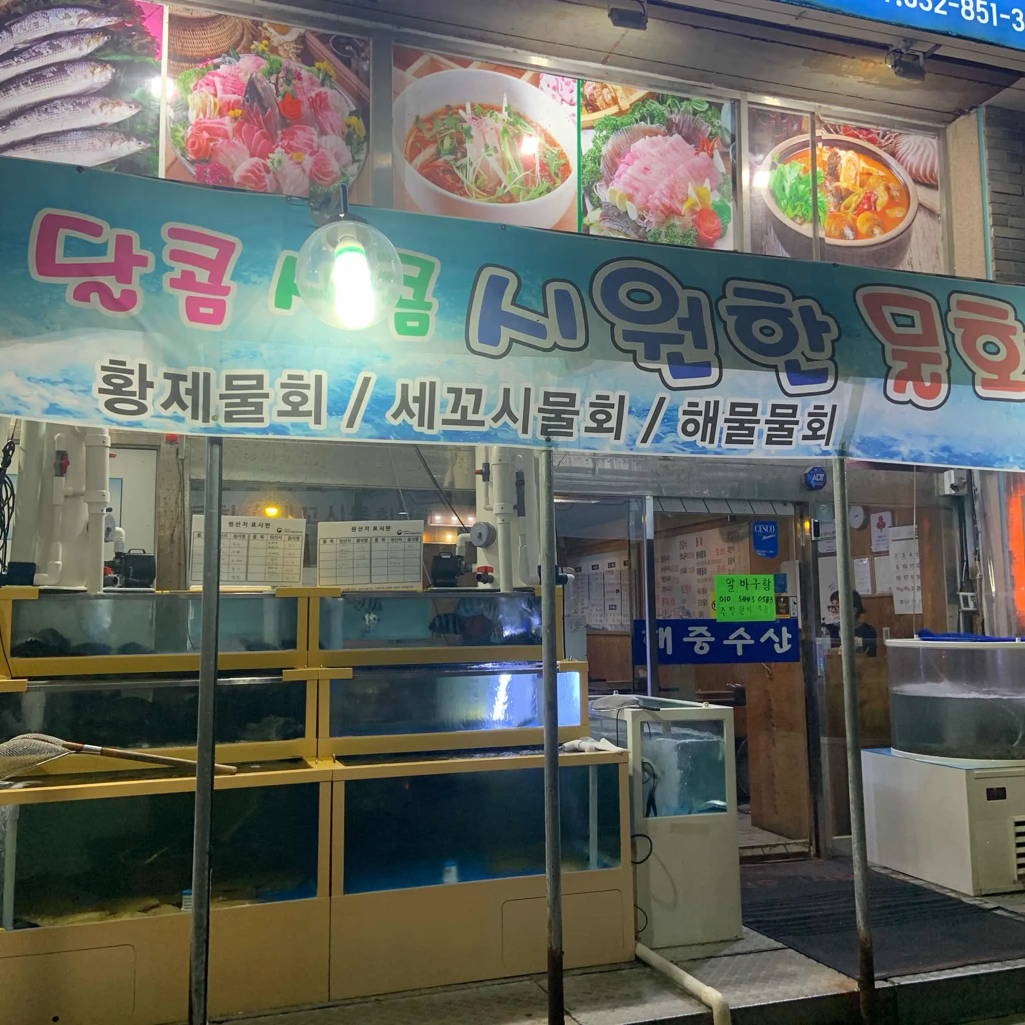 대표 사진 1