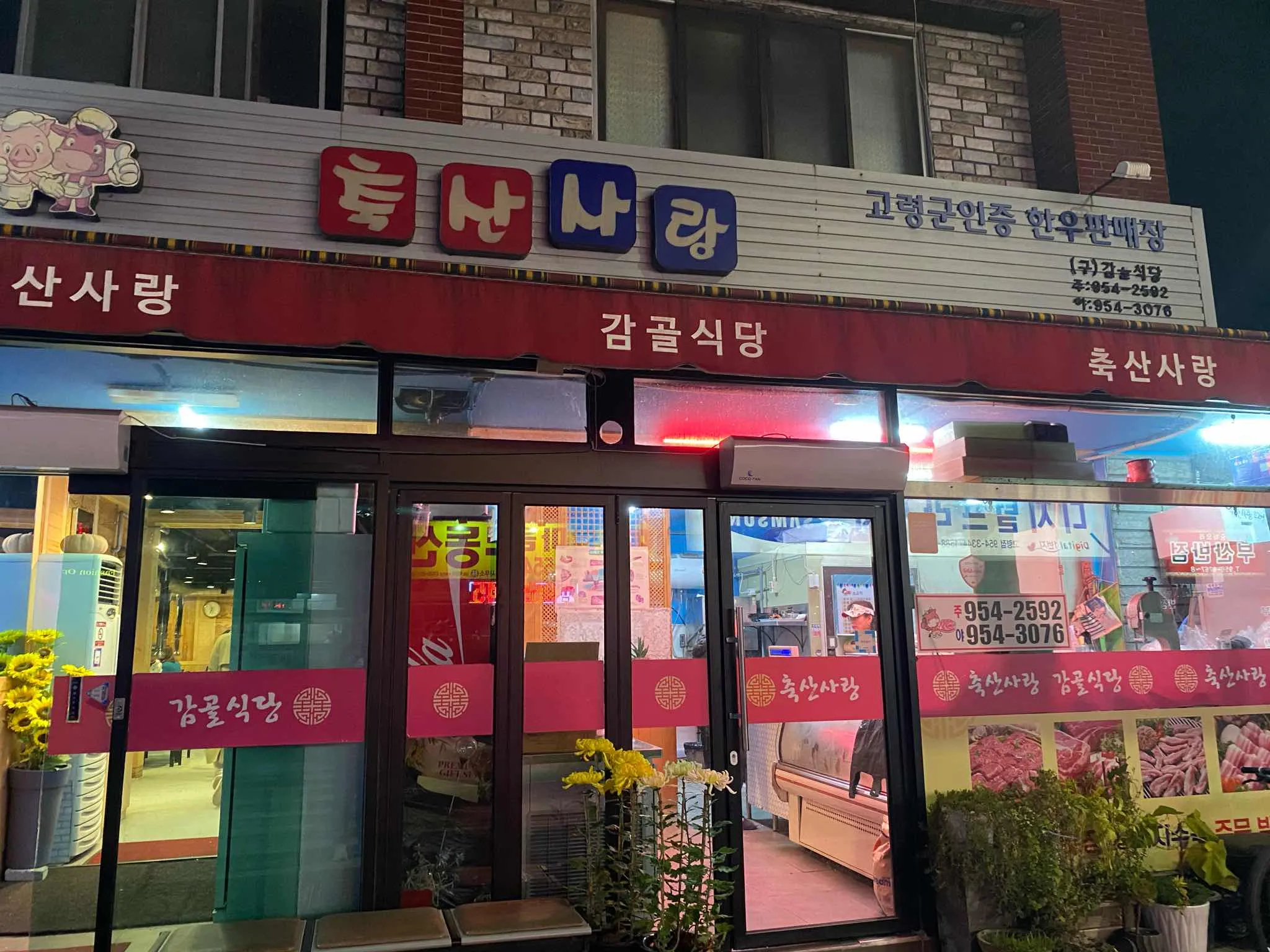 대표 사진 0