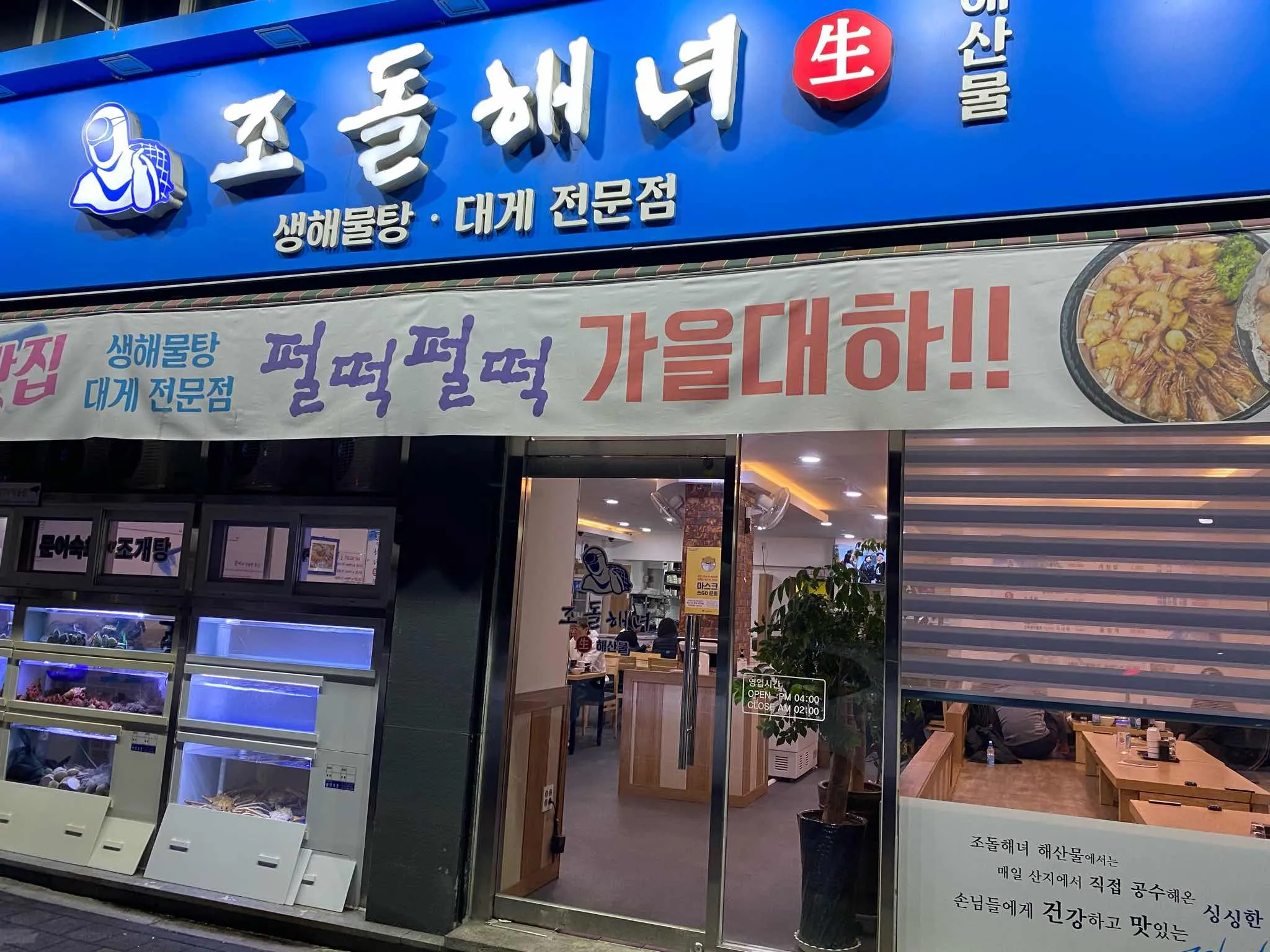 대표 사진 0
