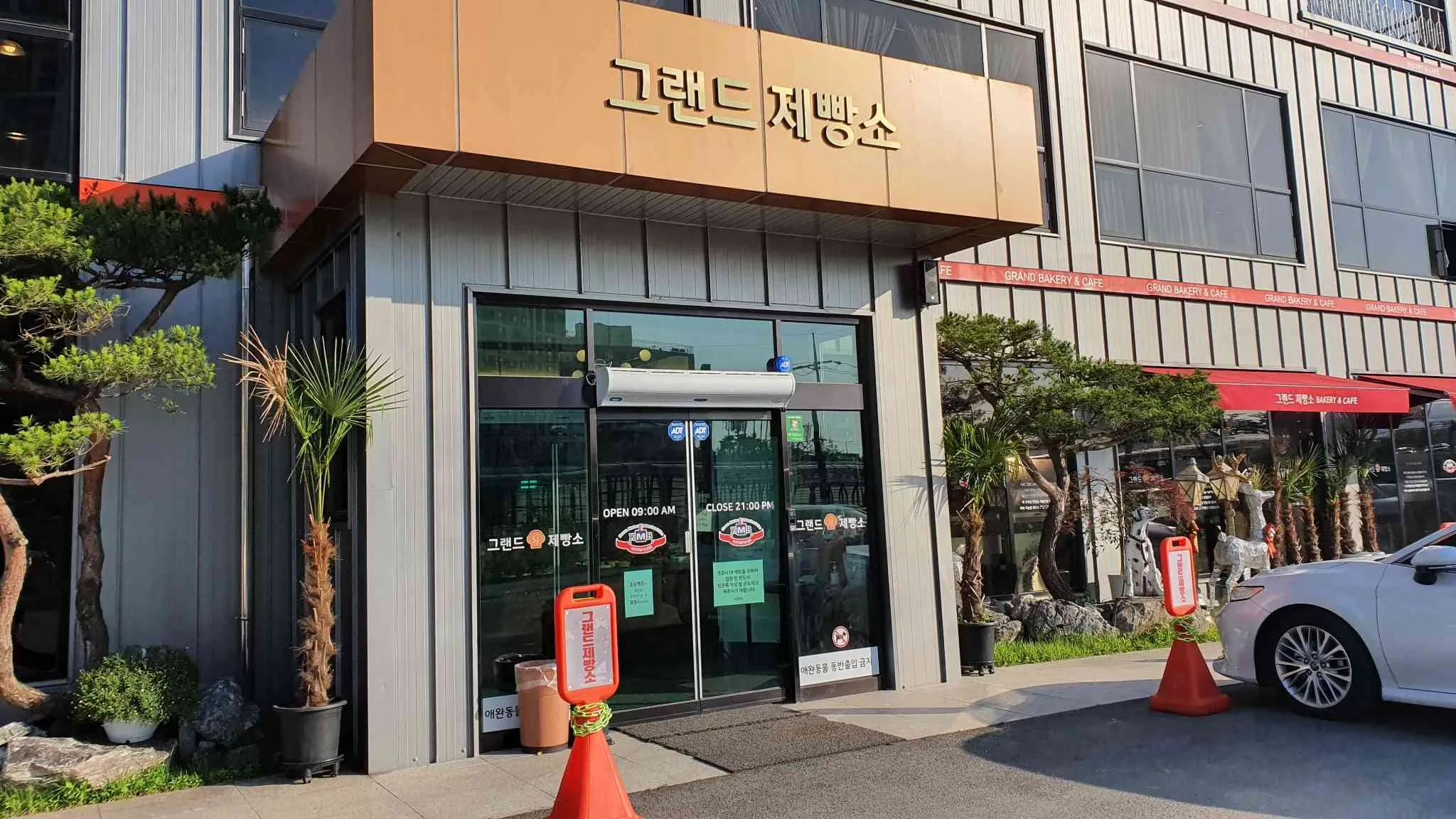 대표 사진 2