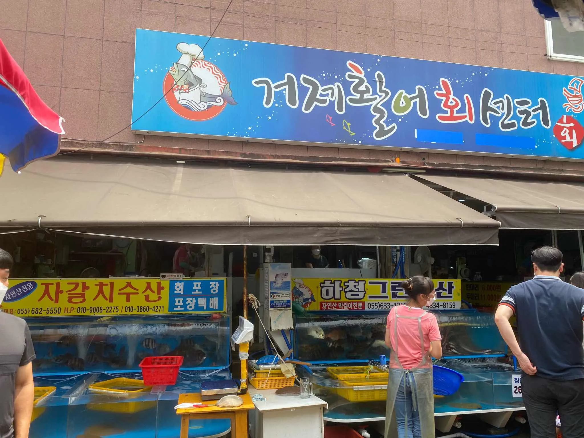 대표 사진 1