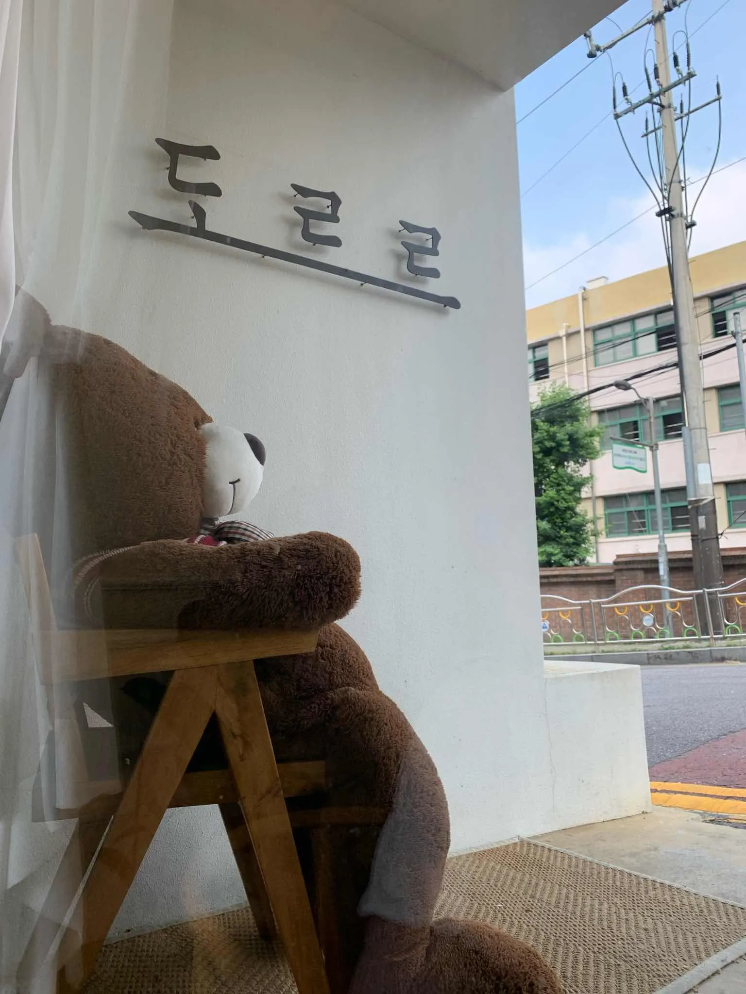 대표 사진 1