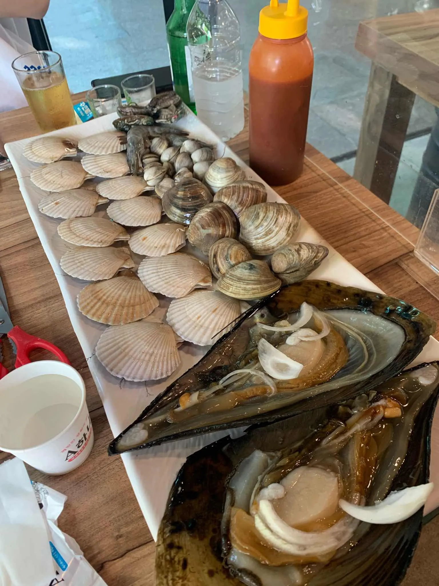 대표 사진 1