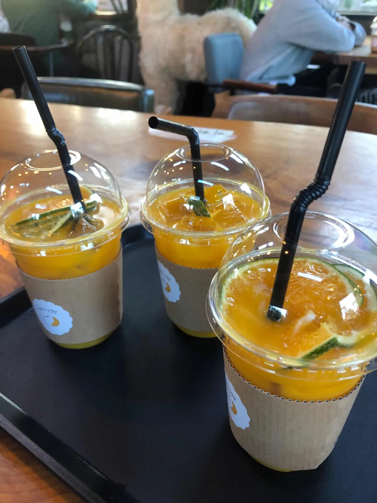 대표 사진 2