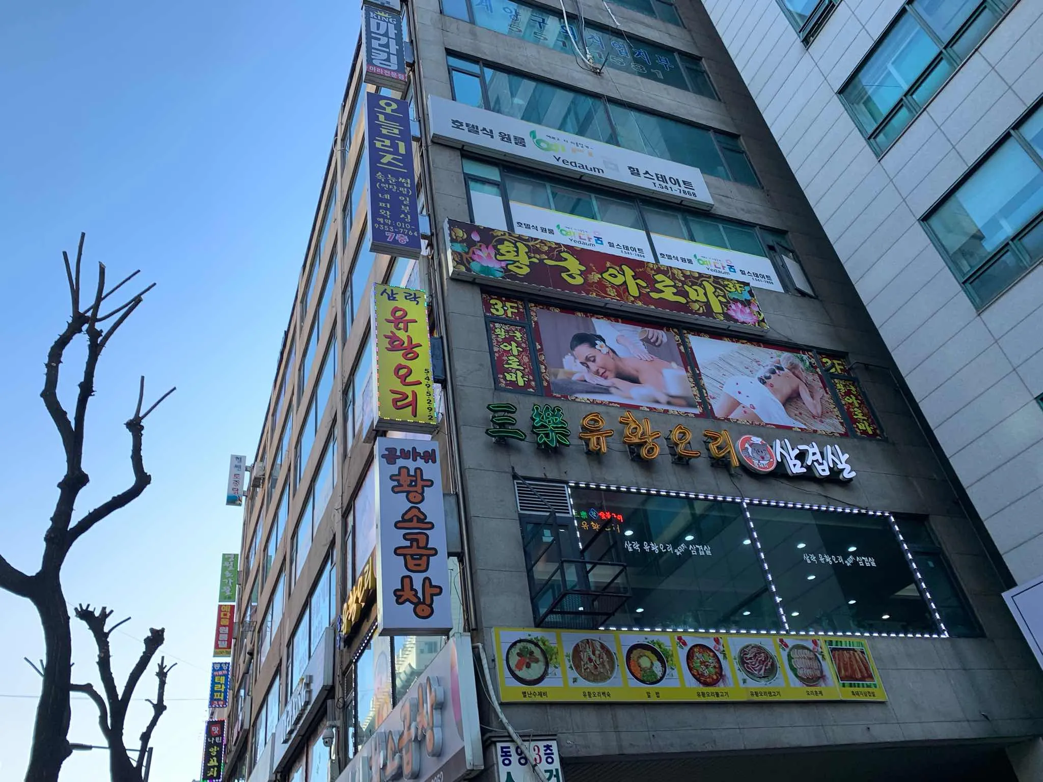 대표 사진 2