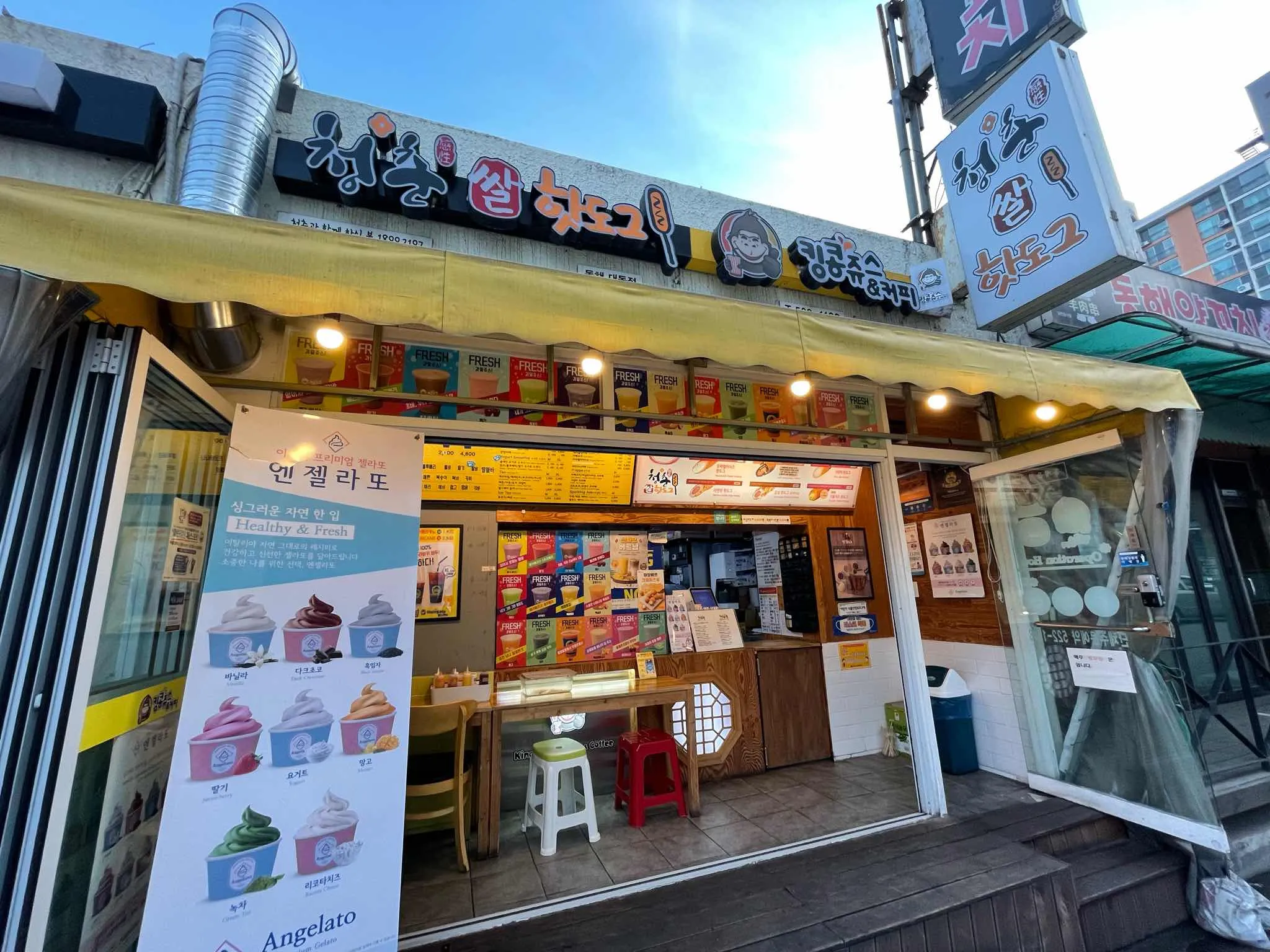 대표 사진 0