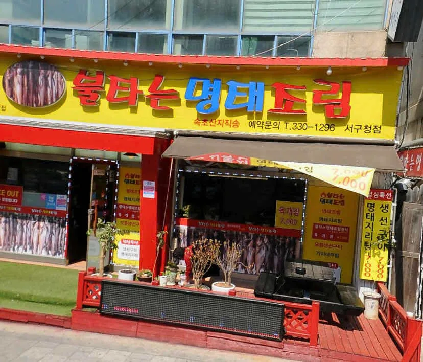대표 사진 0