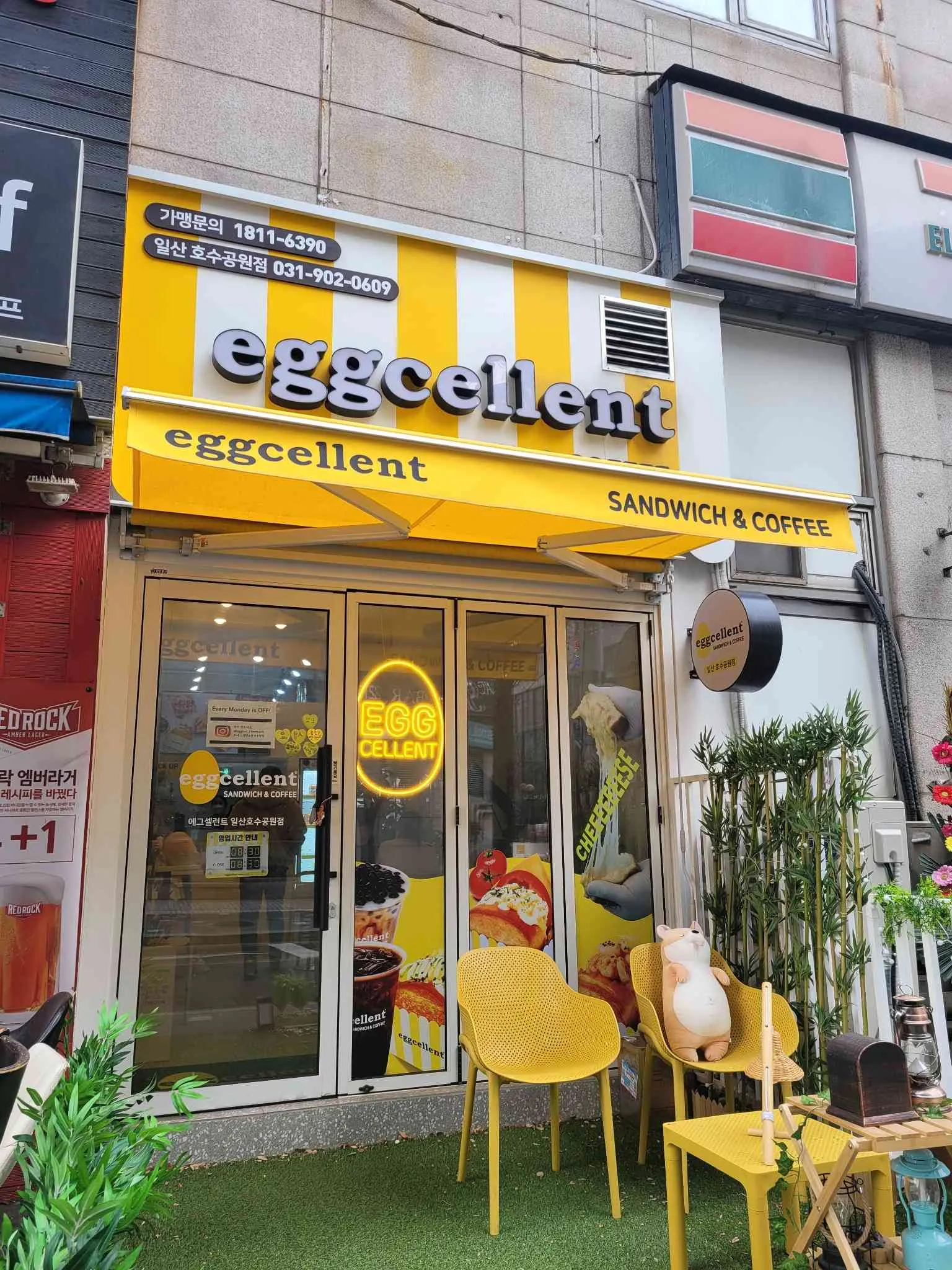 대표 사진 2