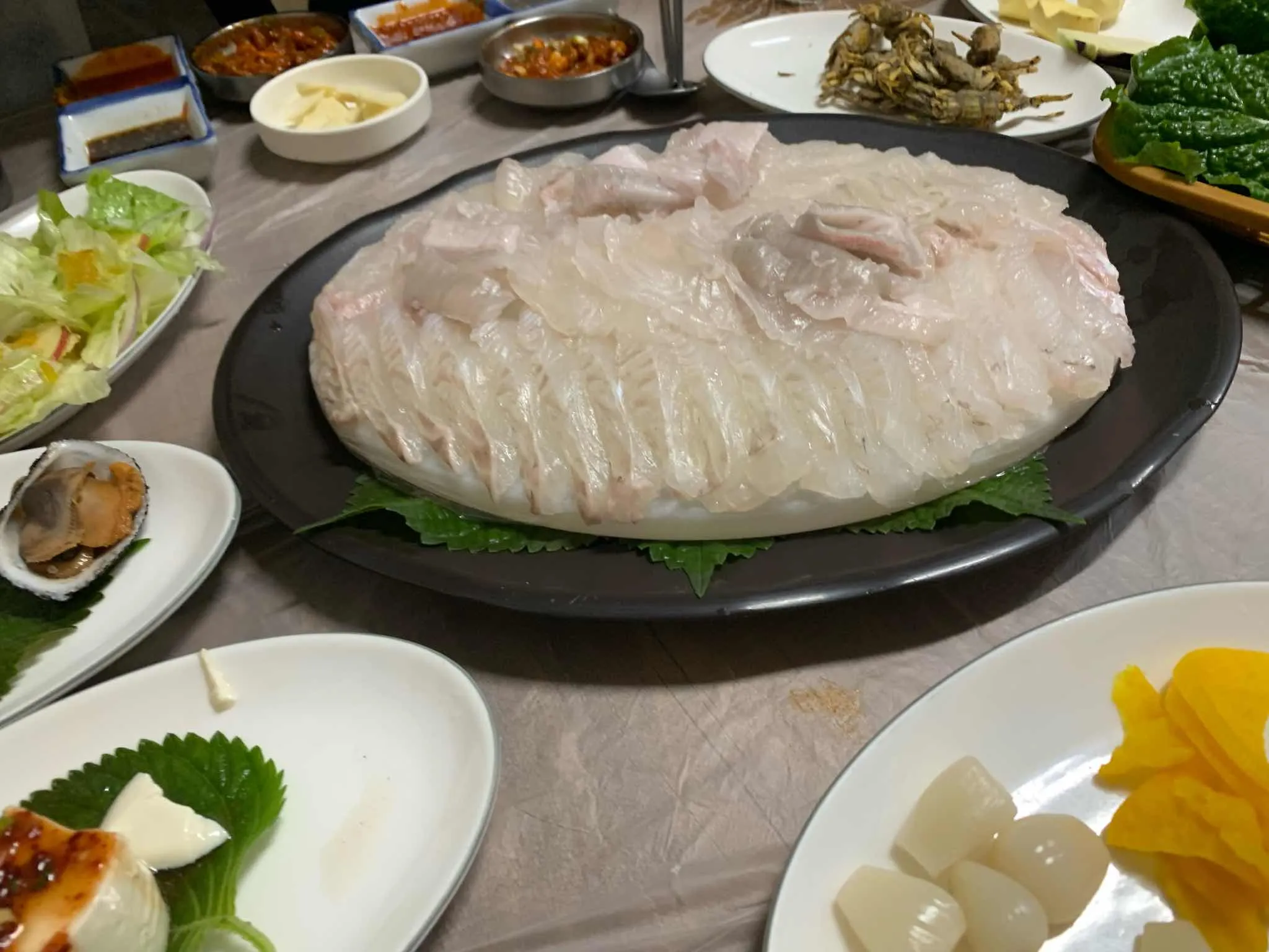 대표 사진 1