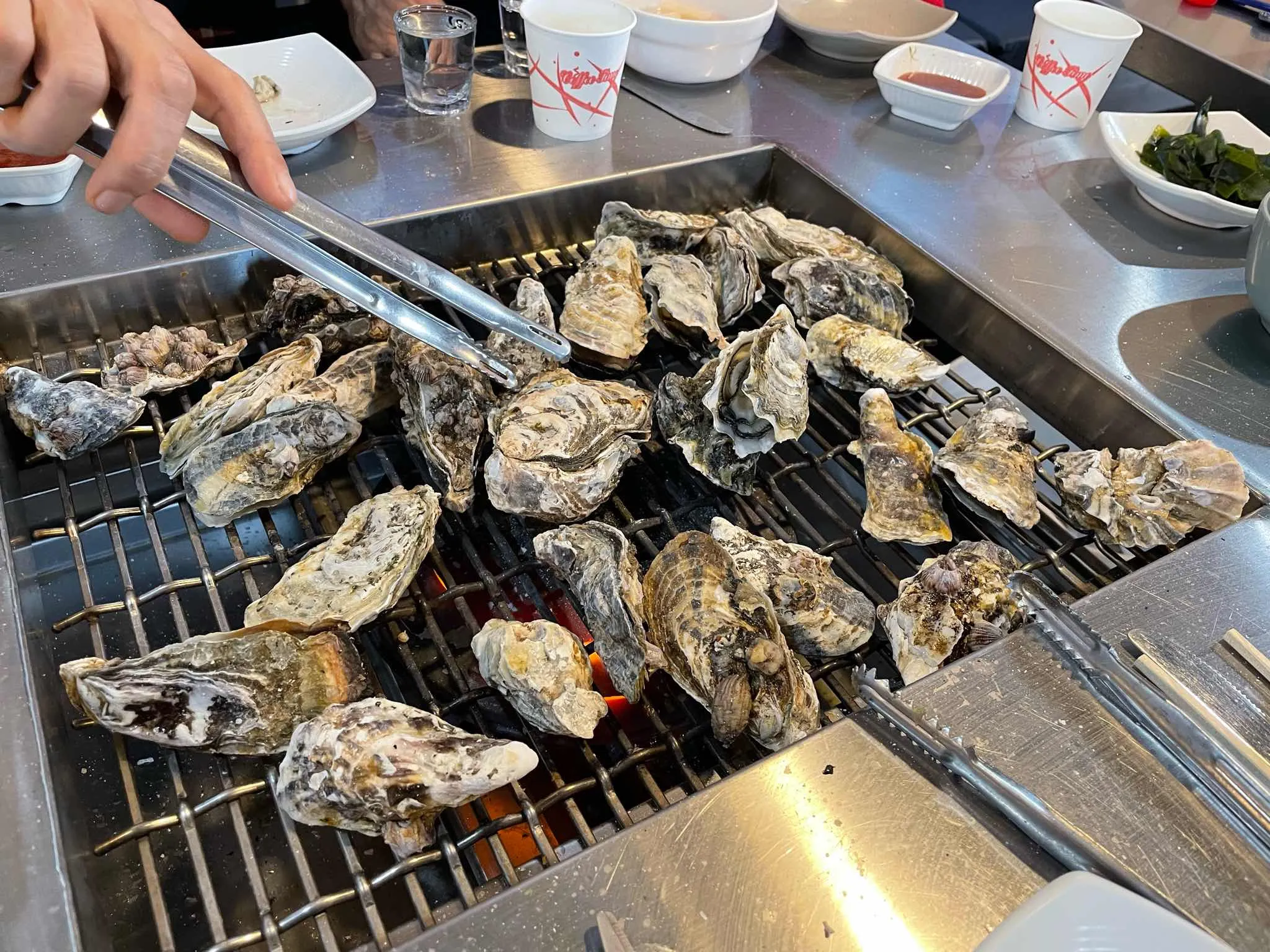대표 사진 0
