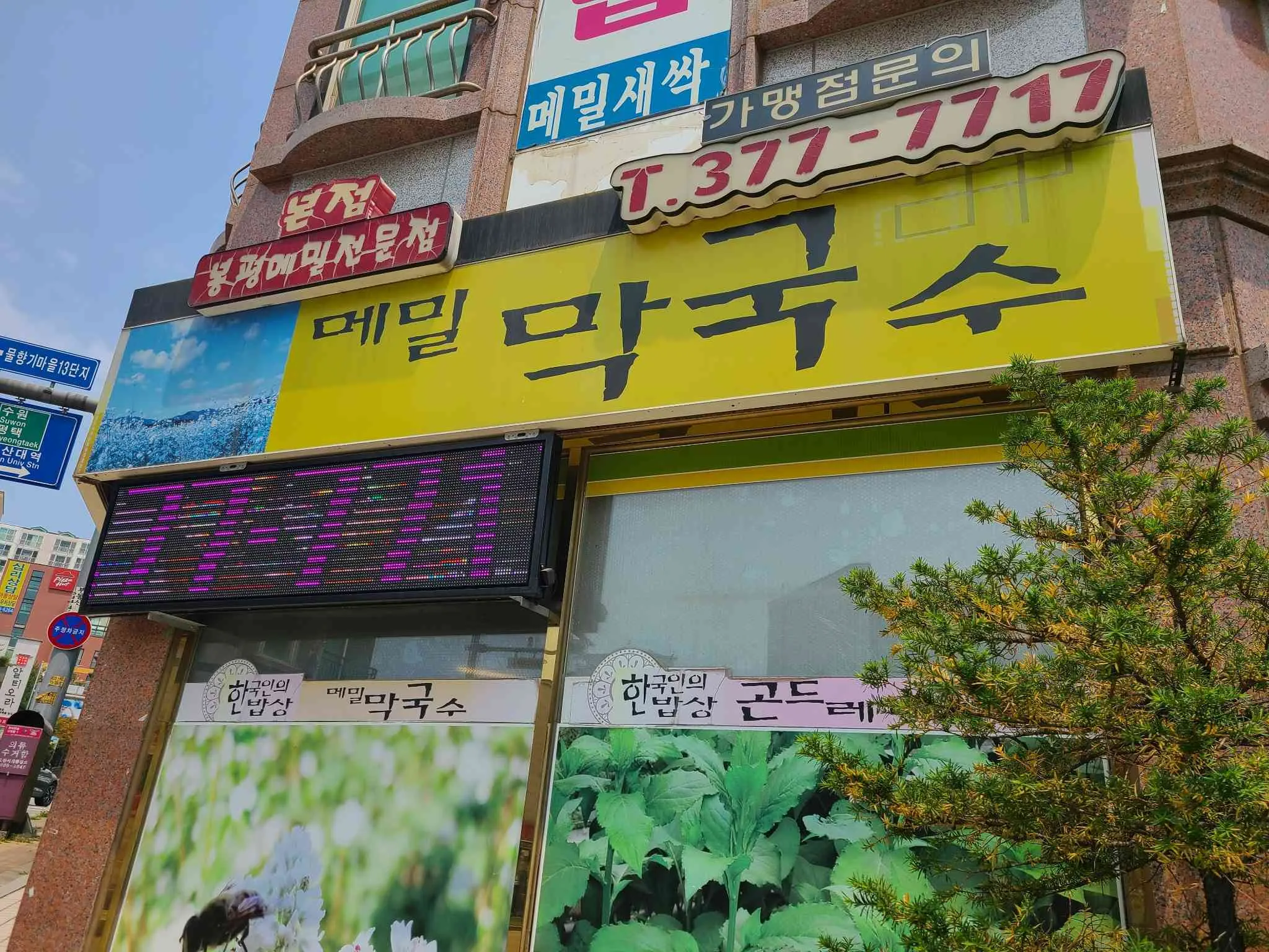 대표 사진 2