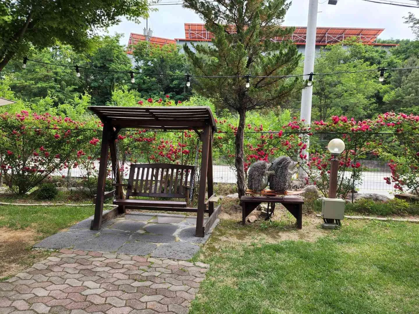대표 사진 2