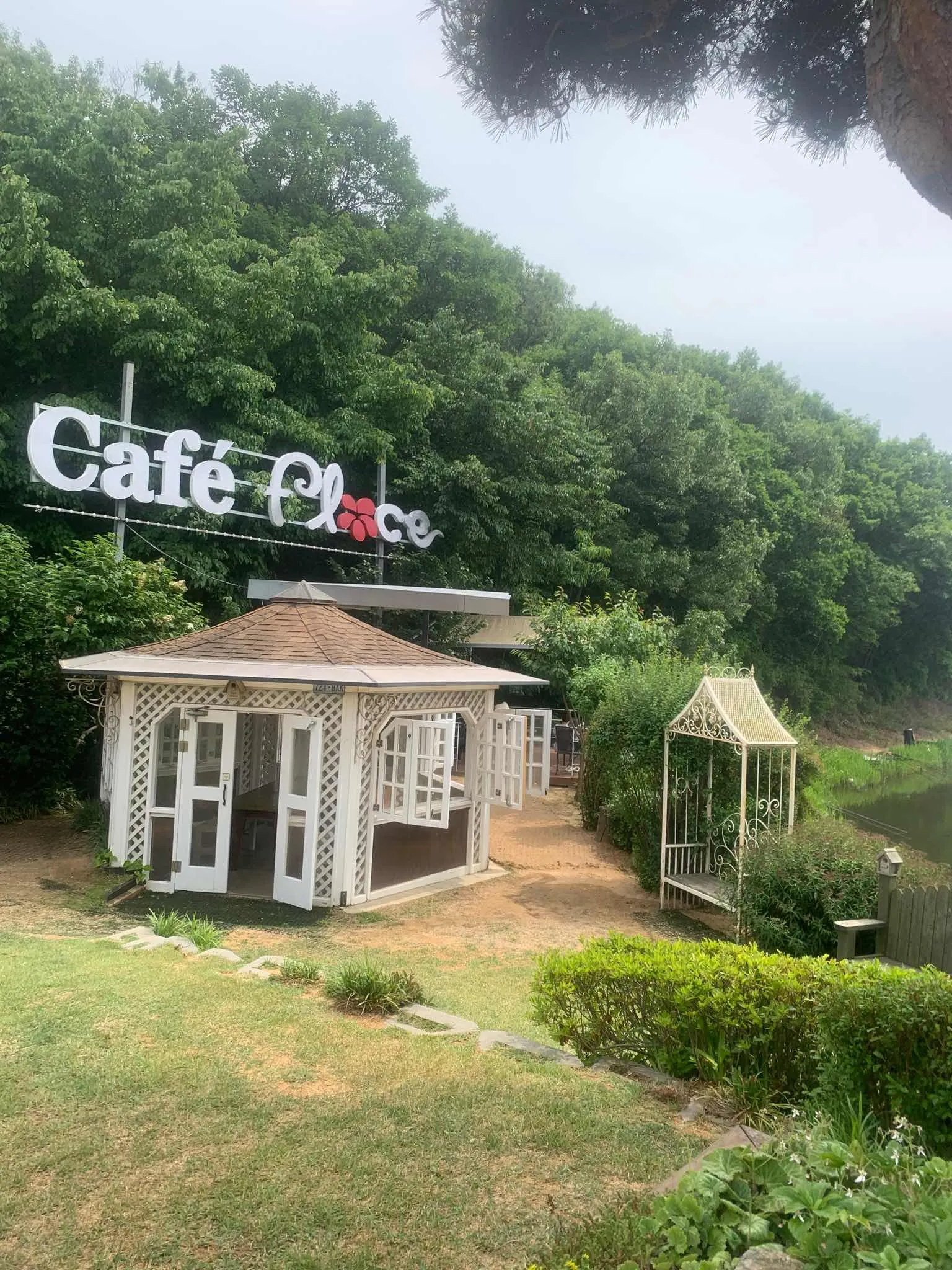 대표 사진 0
