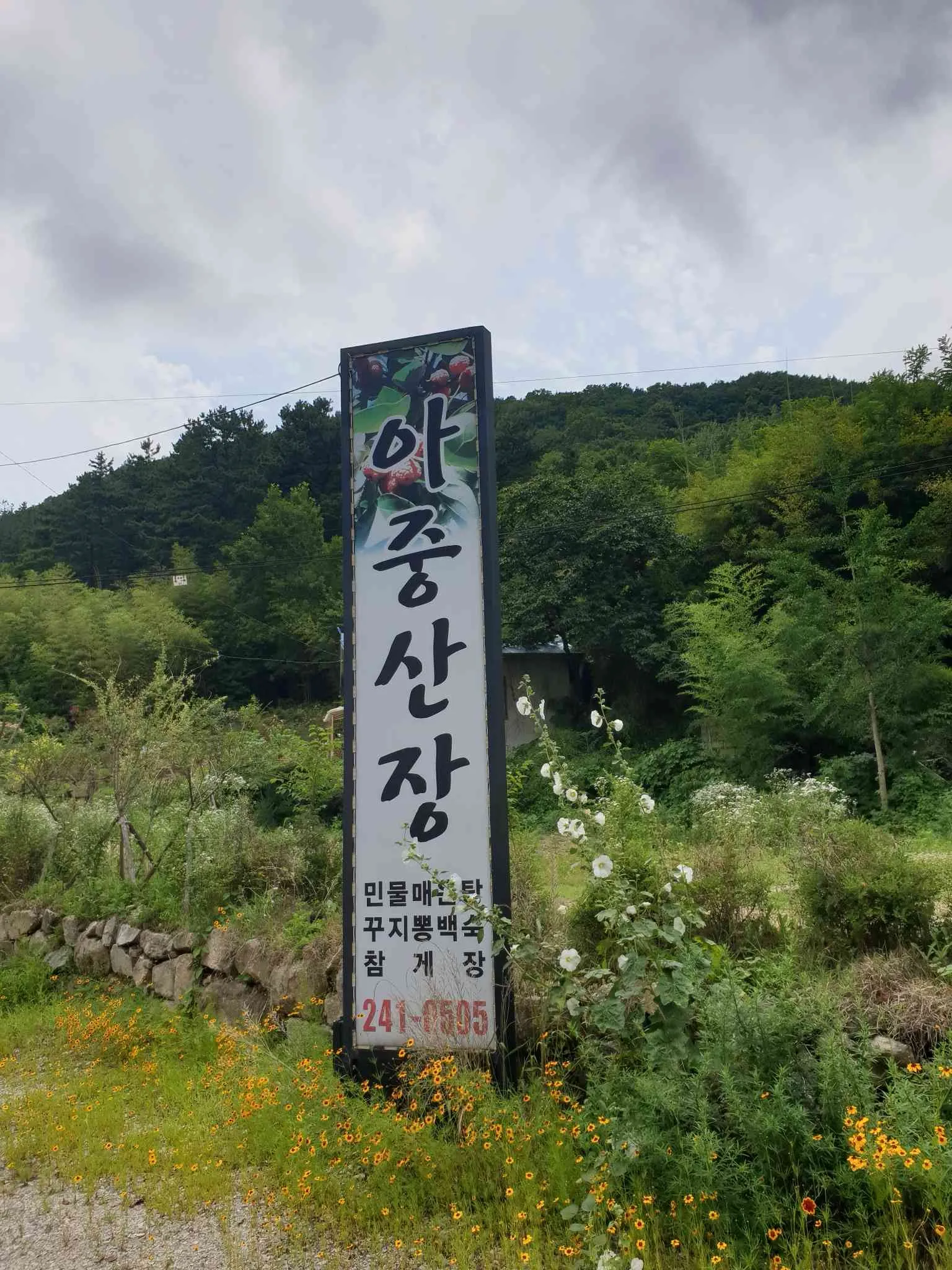 대표 사진 2