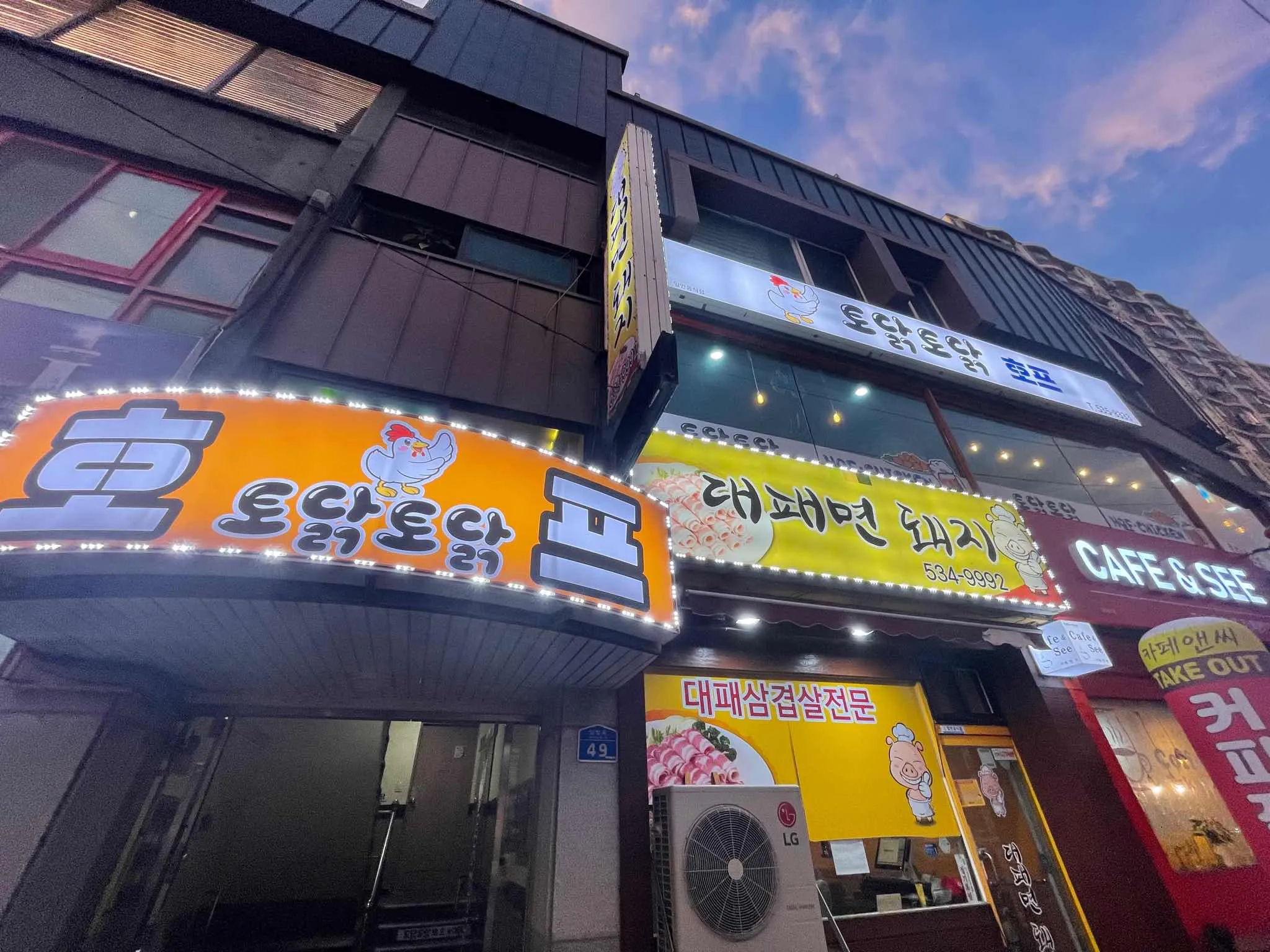 대표 사진 0