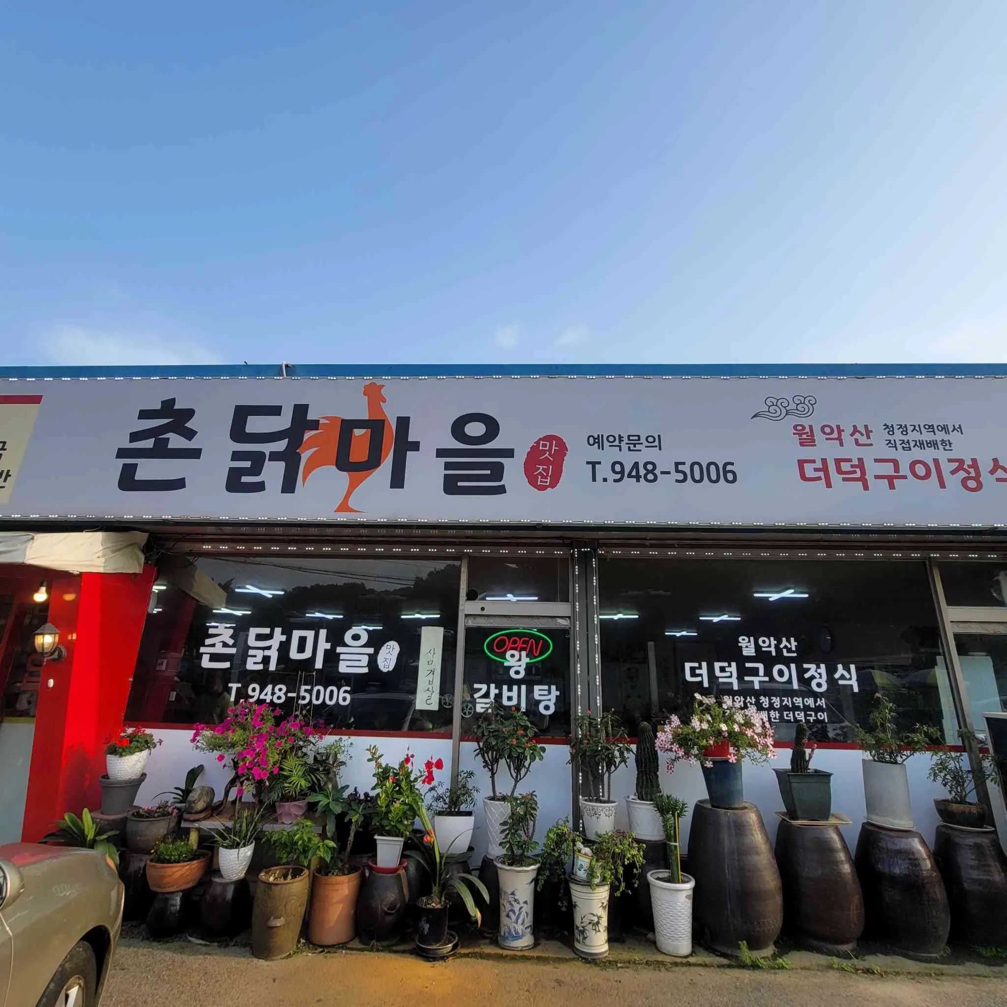 대표 사진 1