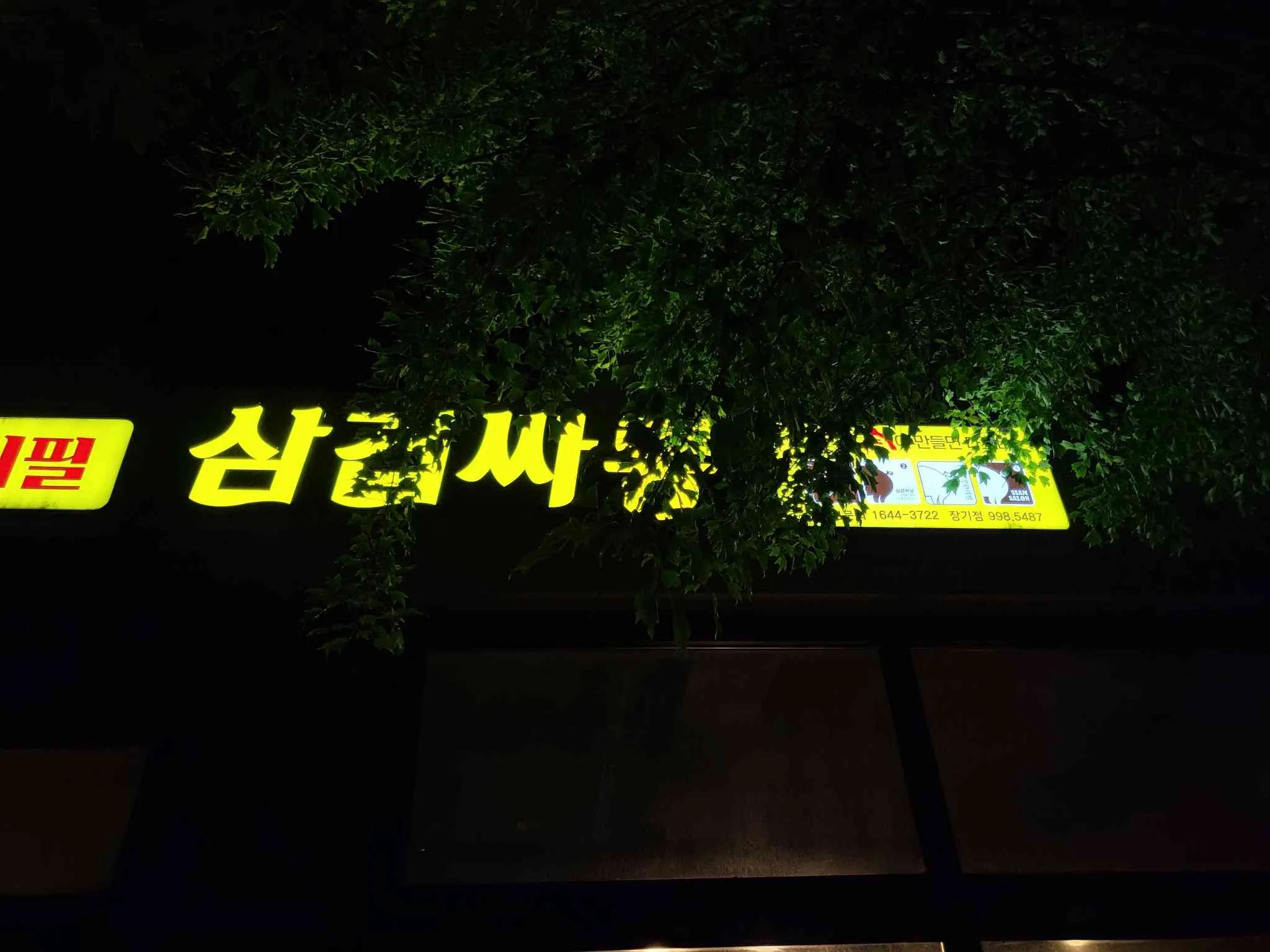 대표 사진 2