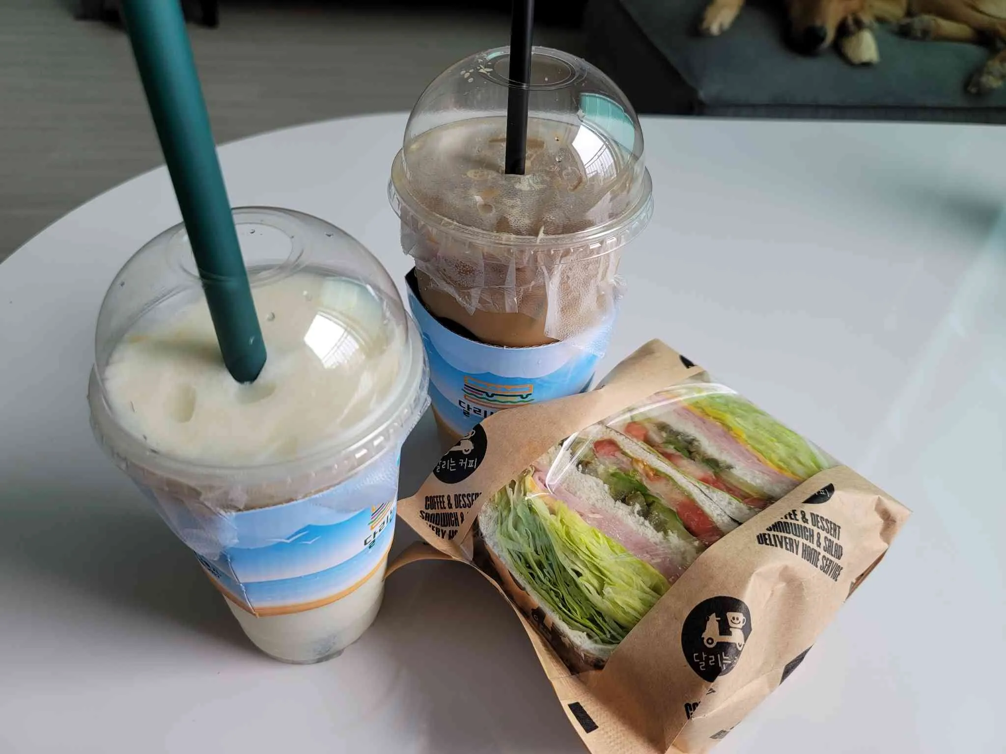 대표 사진 0