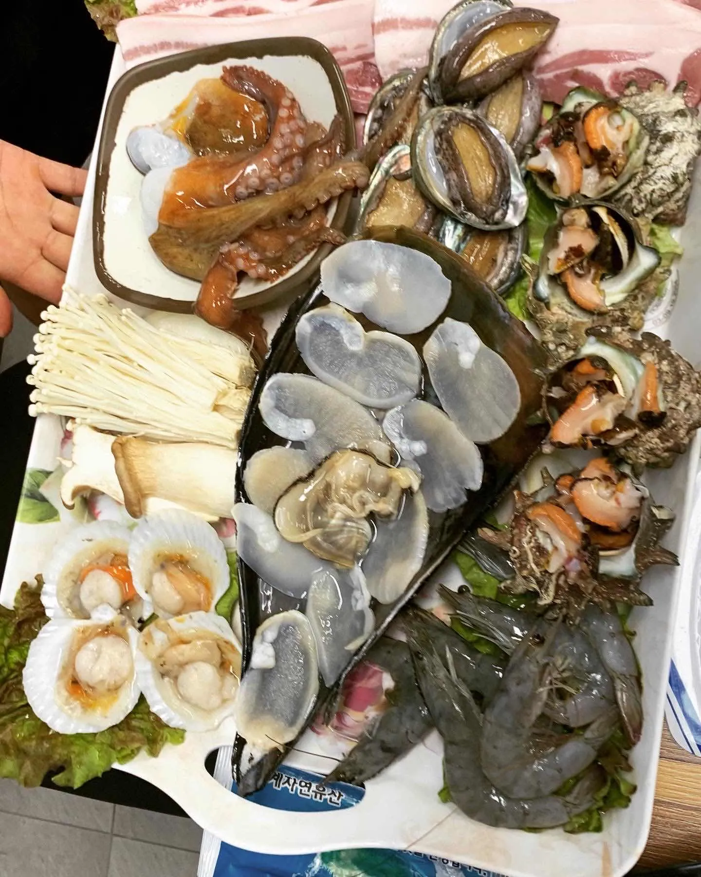 대표 사진 0