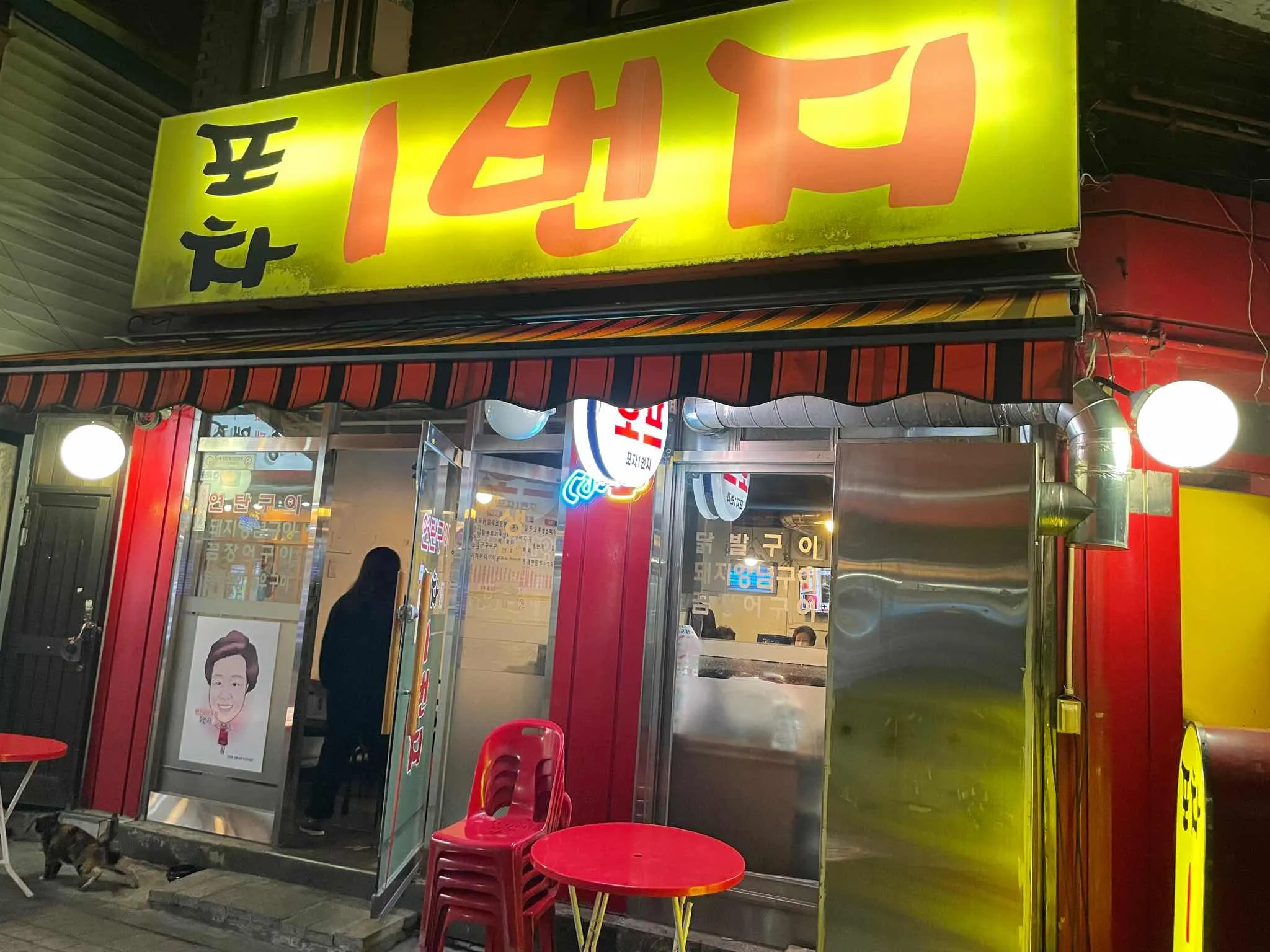 대표 사진 0