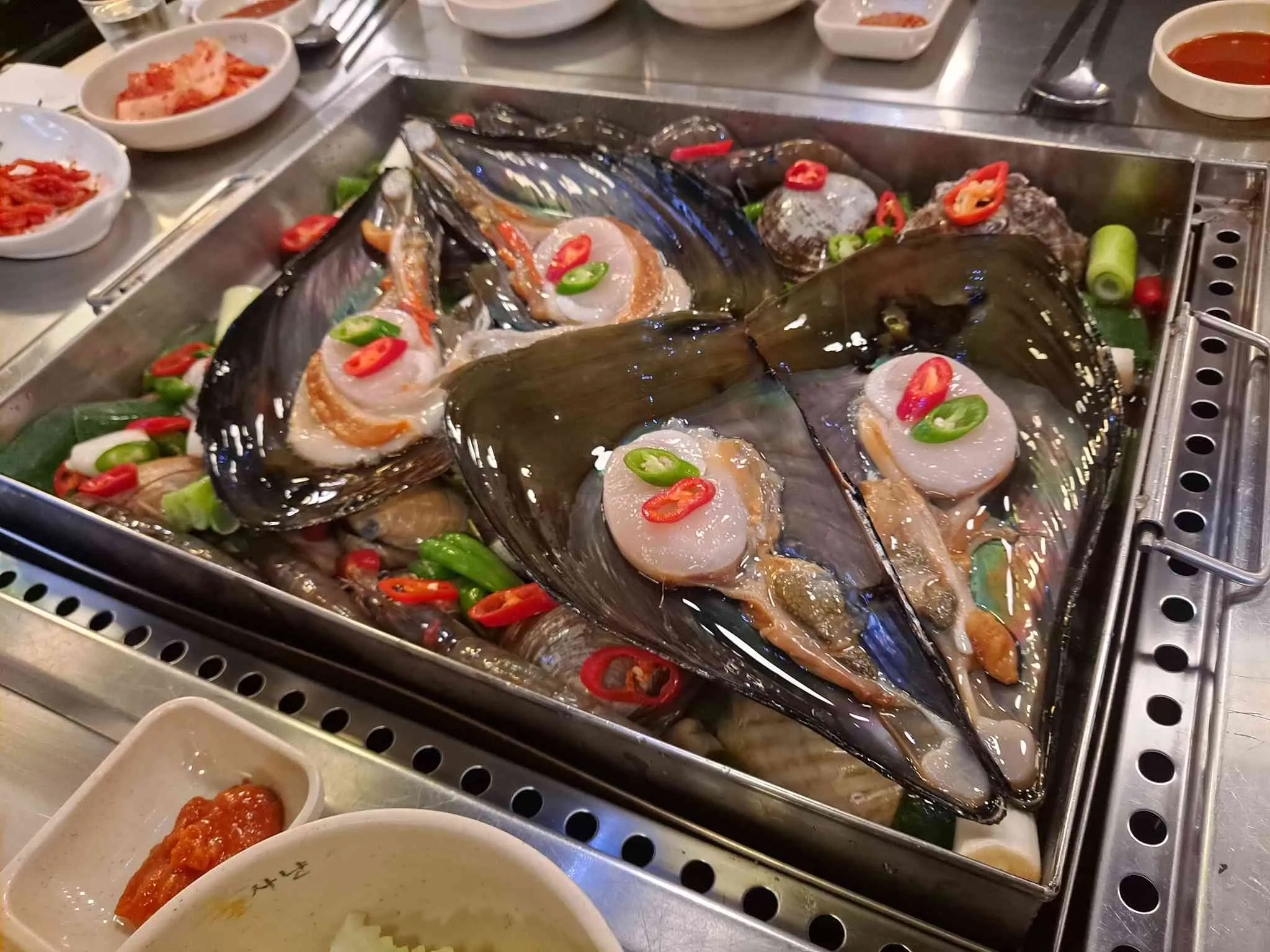 대표 사진 0