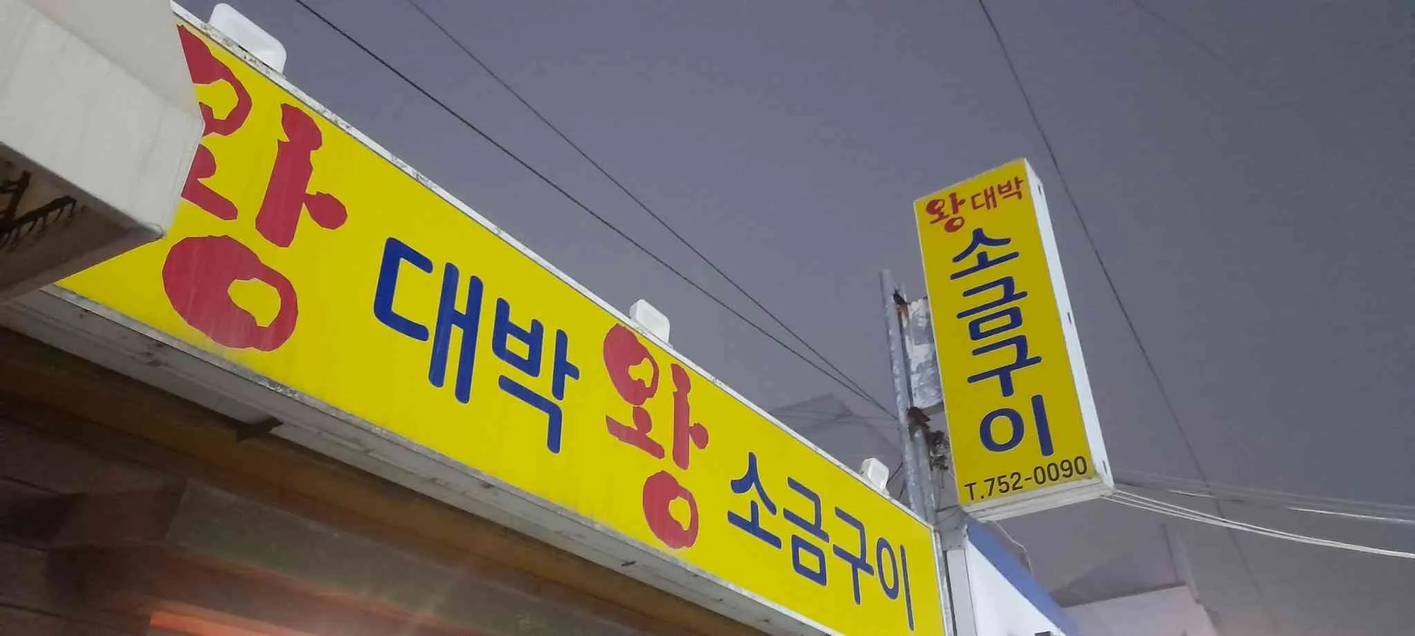 대표 사진 1