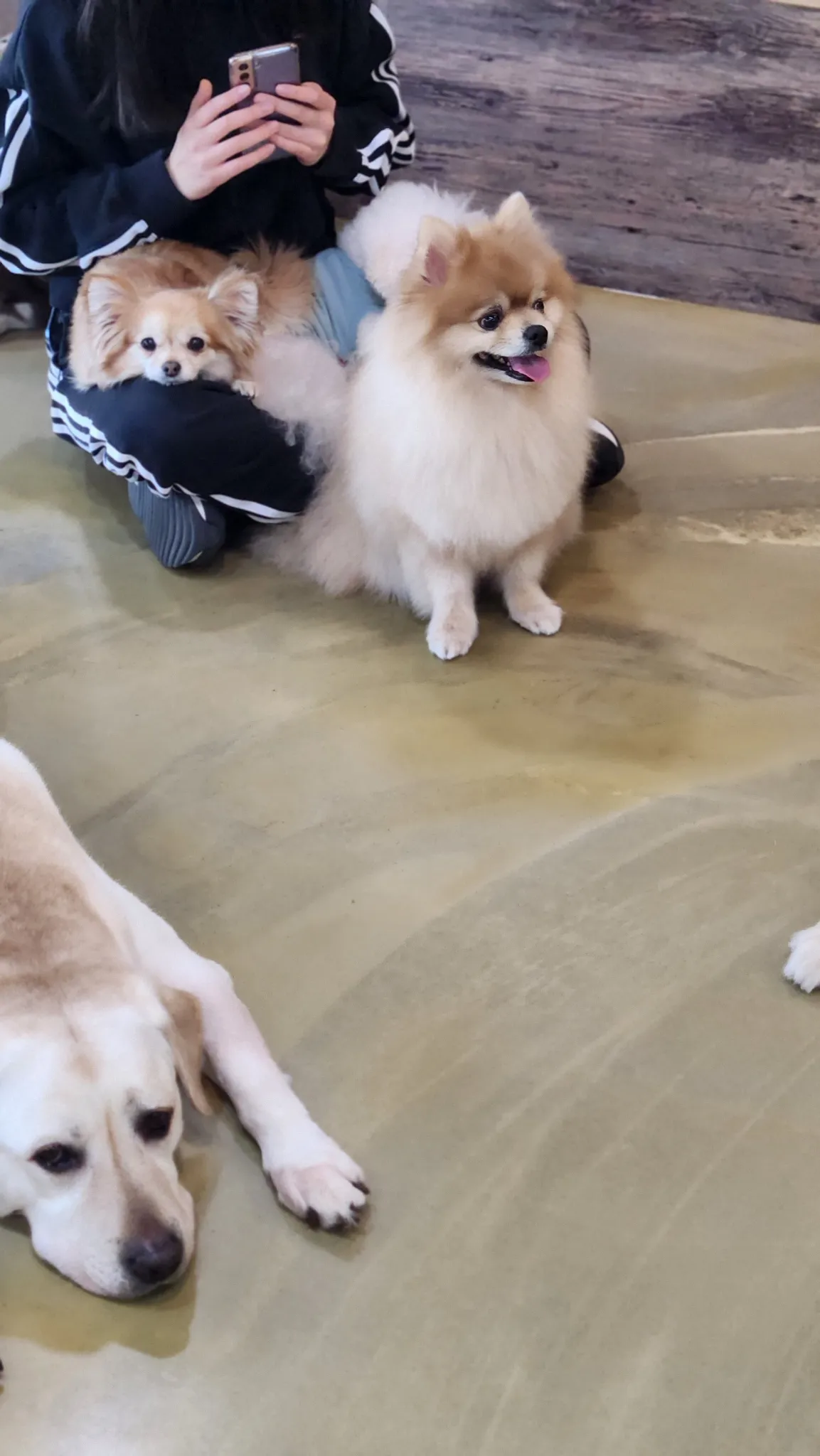 대표 사진 0