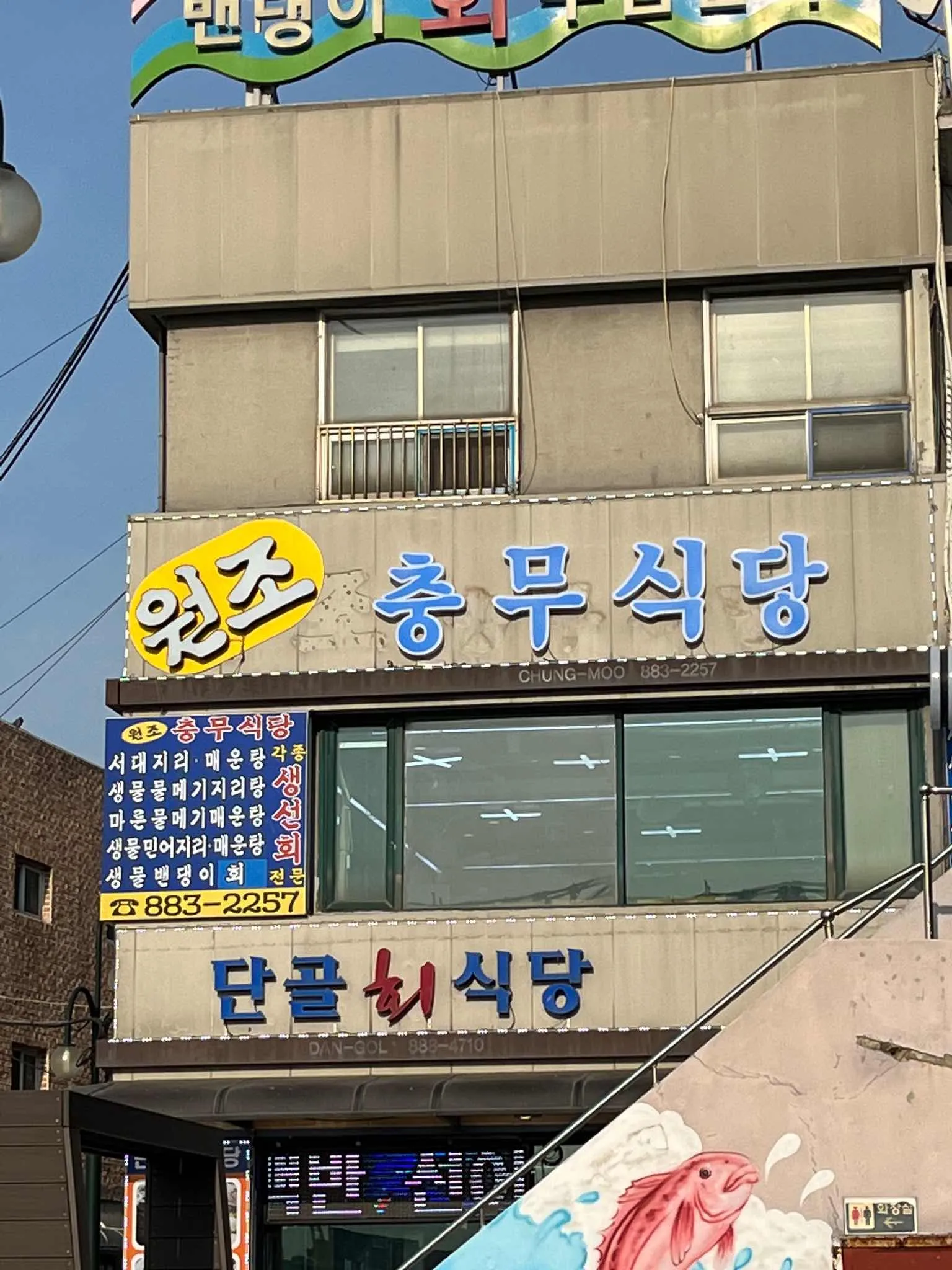 대표 사진 0