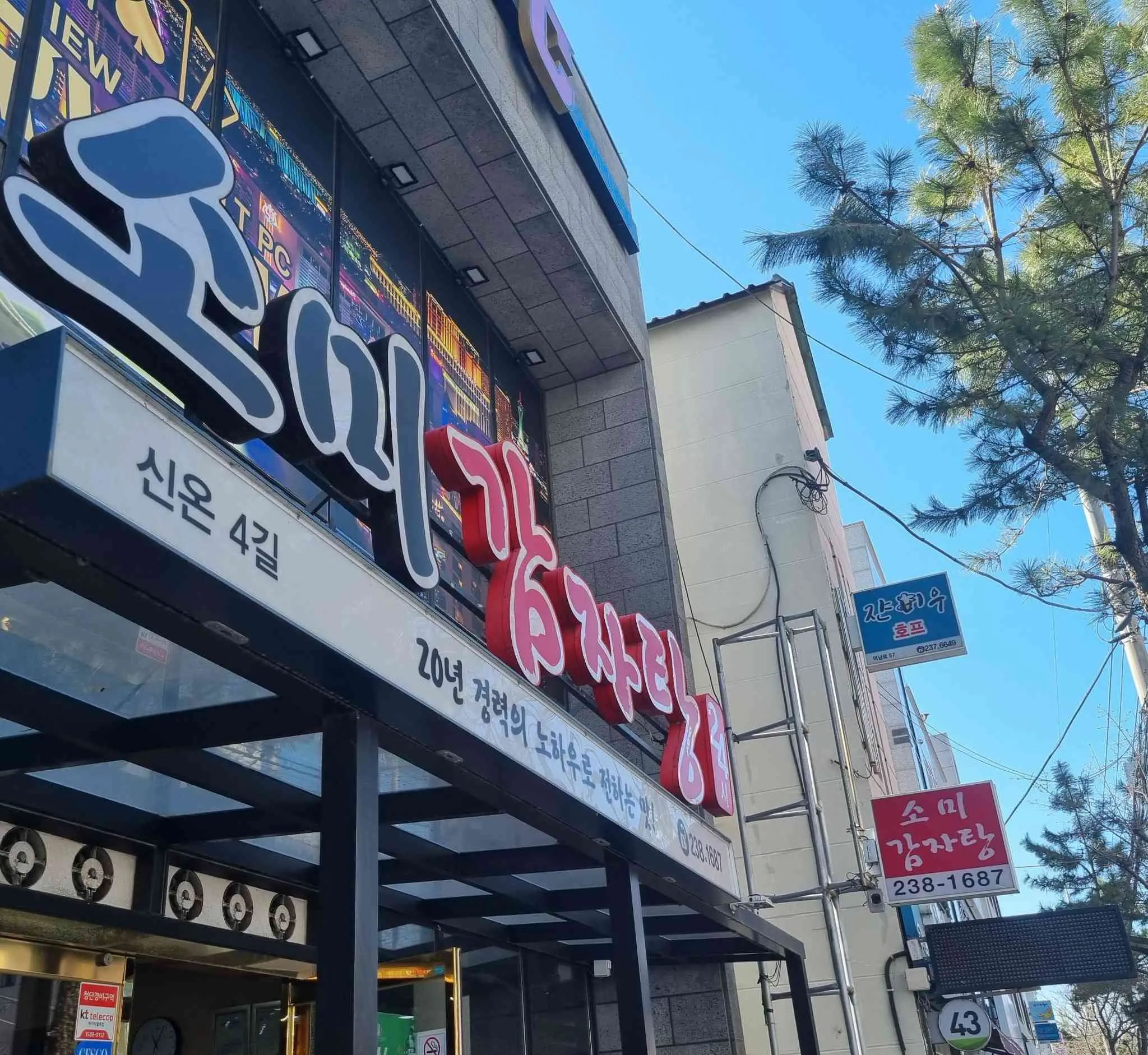 대표 사진 0
