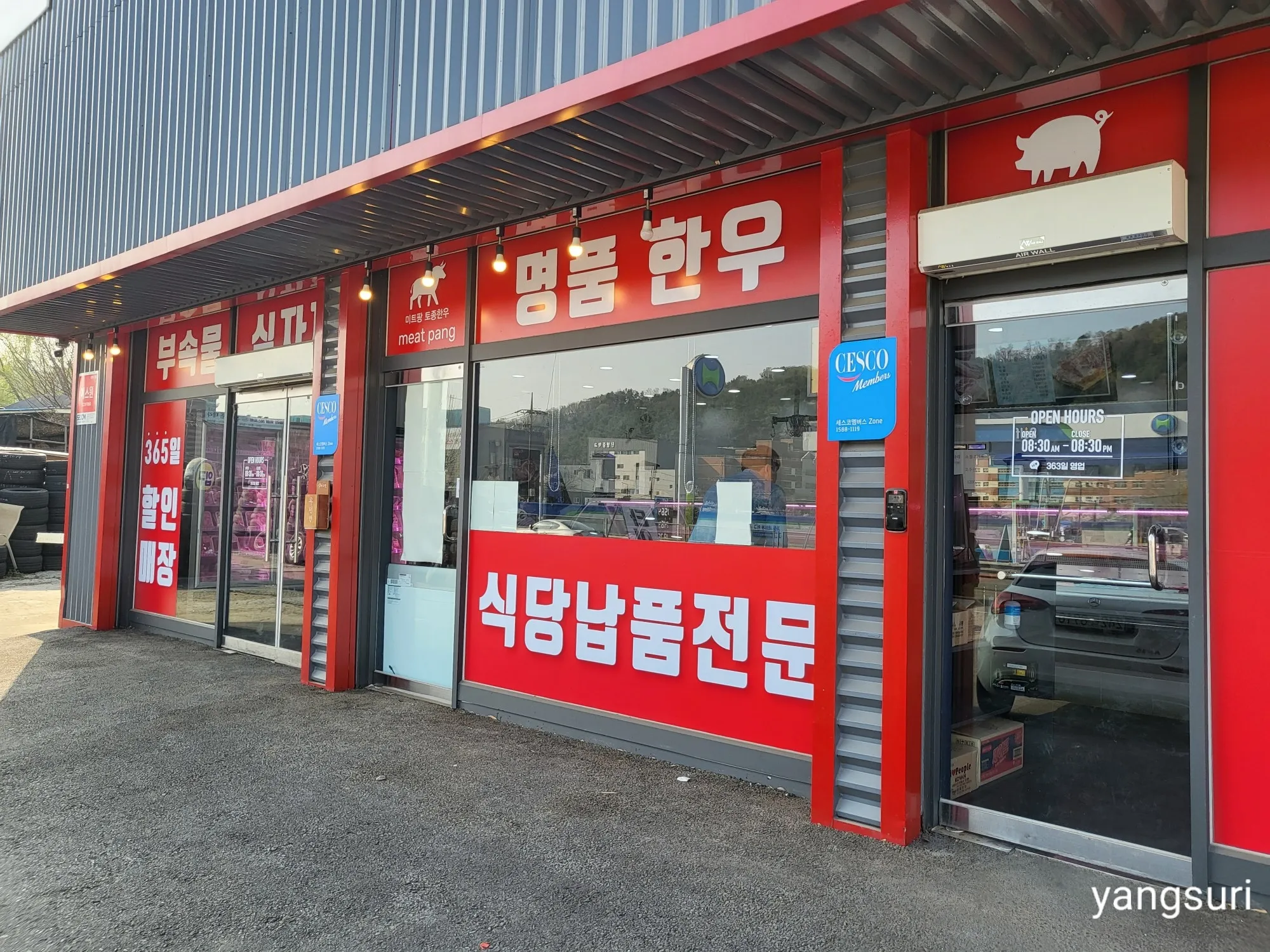대표 사진 0