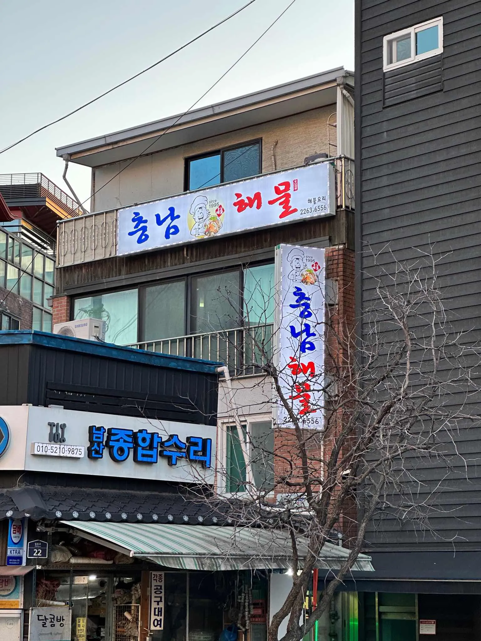 대표 사진 0