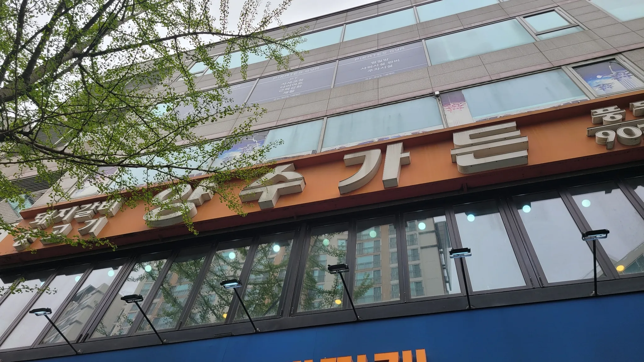 대표 사진 2