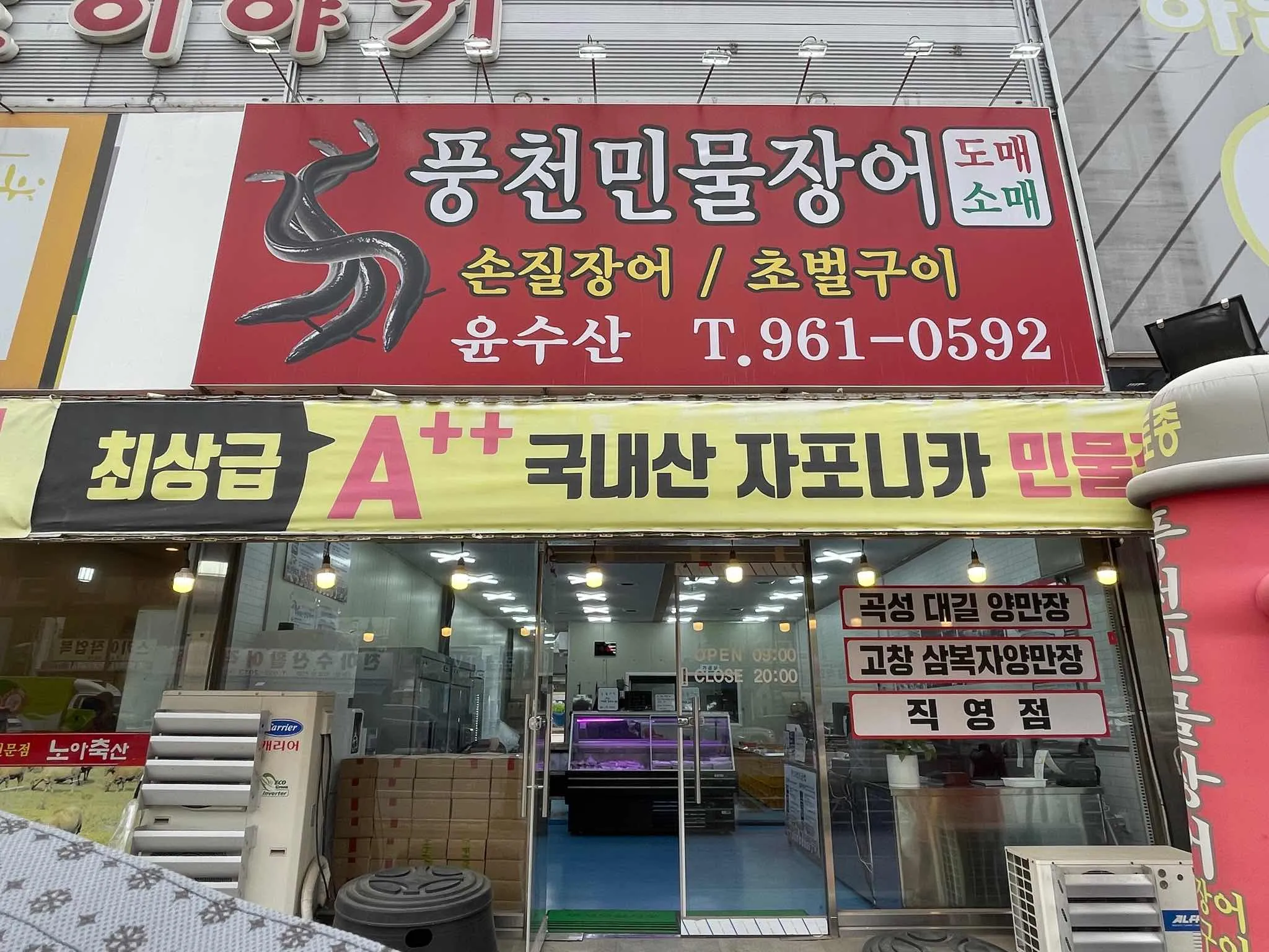 대표 사진 4