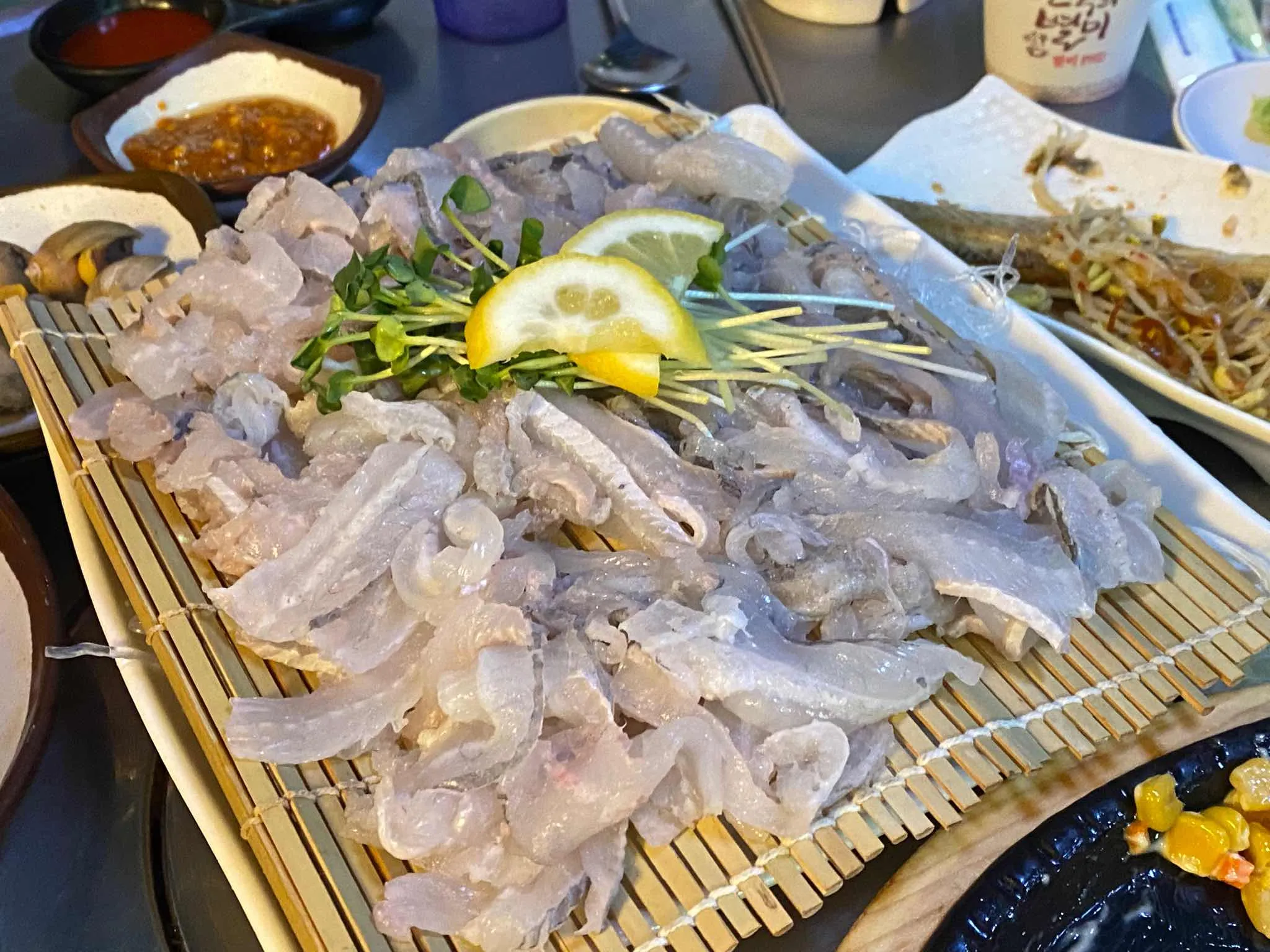 대표 사진 0