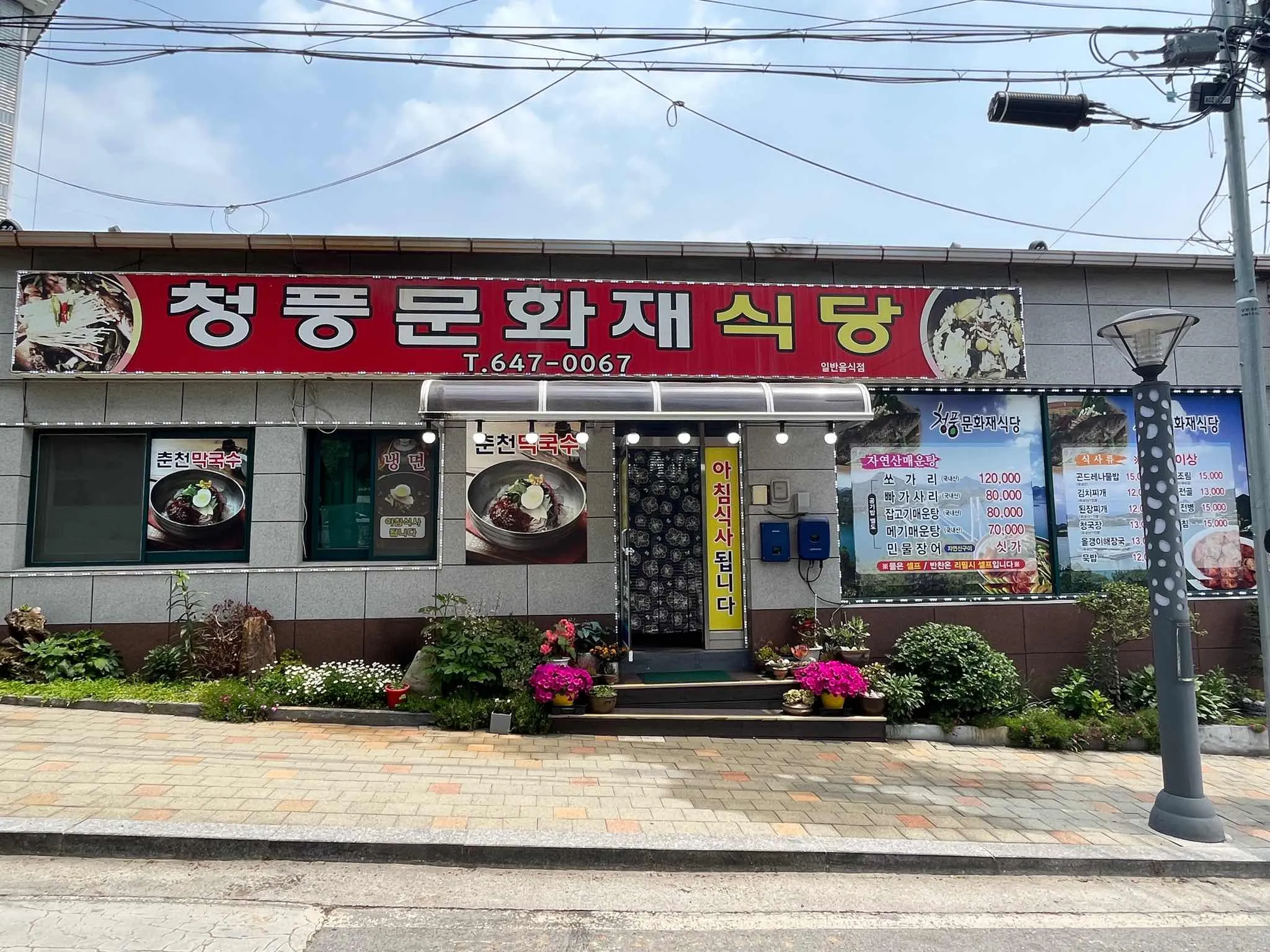 대표 사진 0