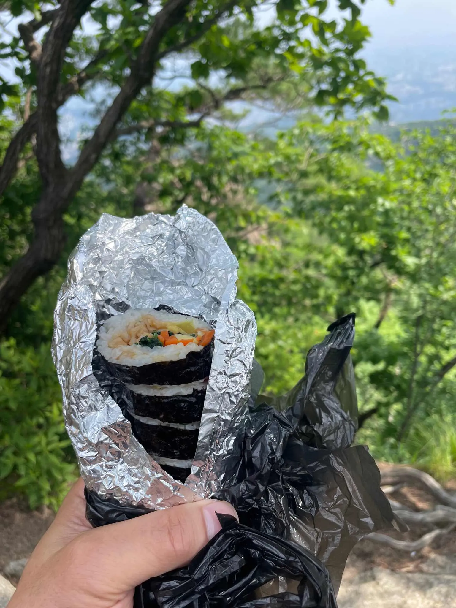대표 사진 2